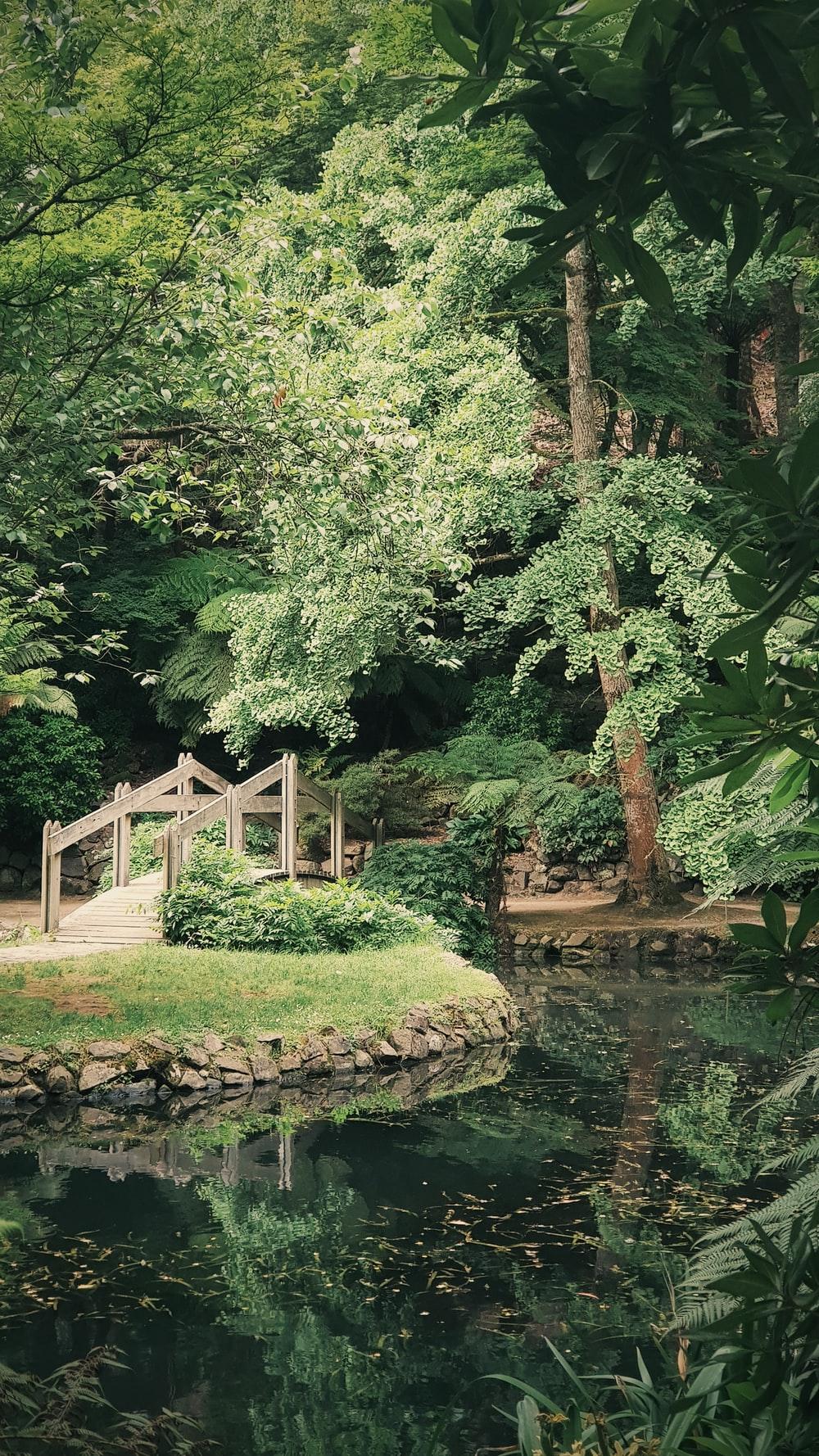1000x1778 Japanese Garden Picture [HD]. Download Free Image
