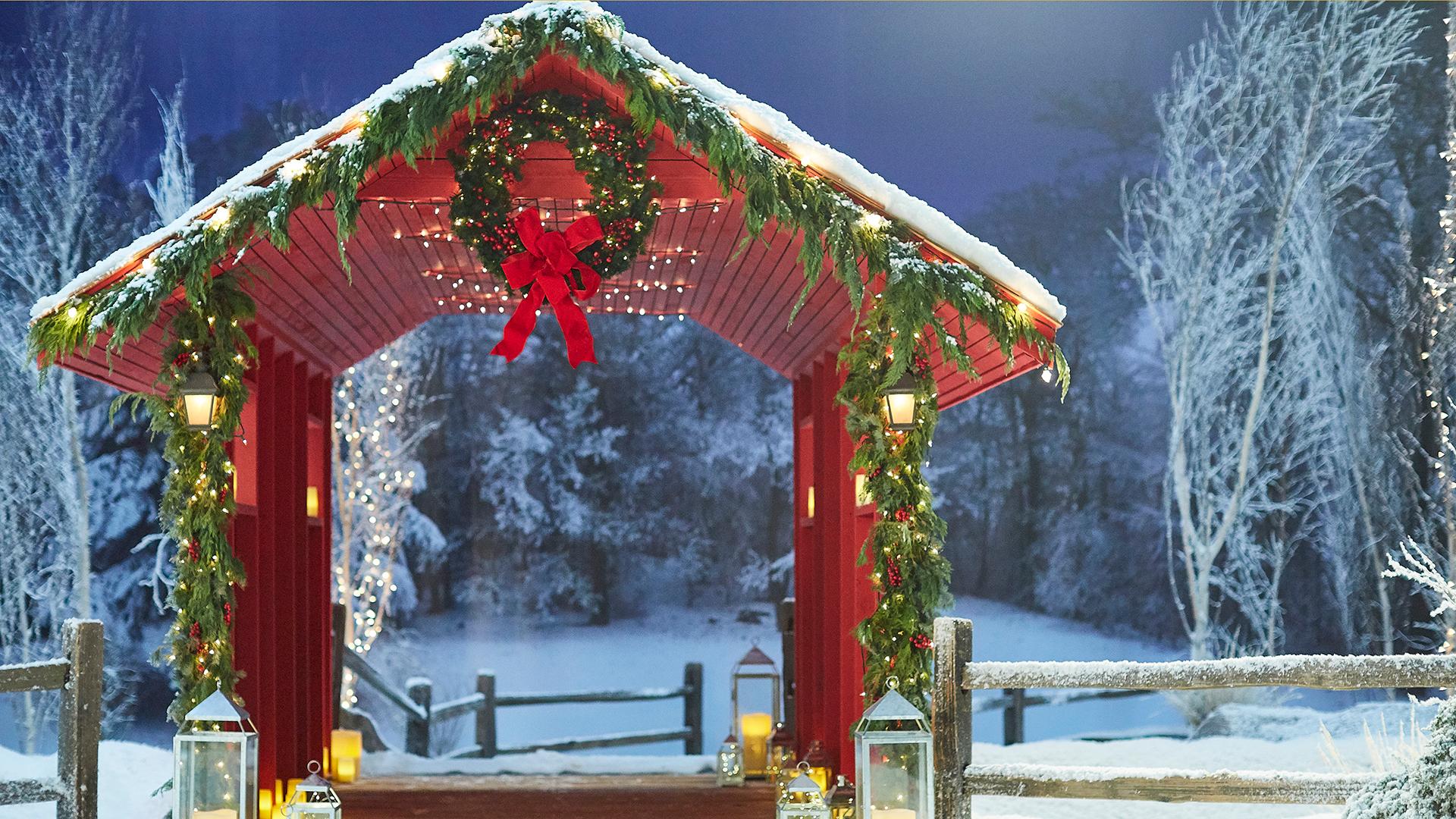 1920x1080 Download Free Christmas Zoom Background