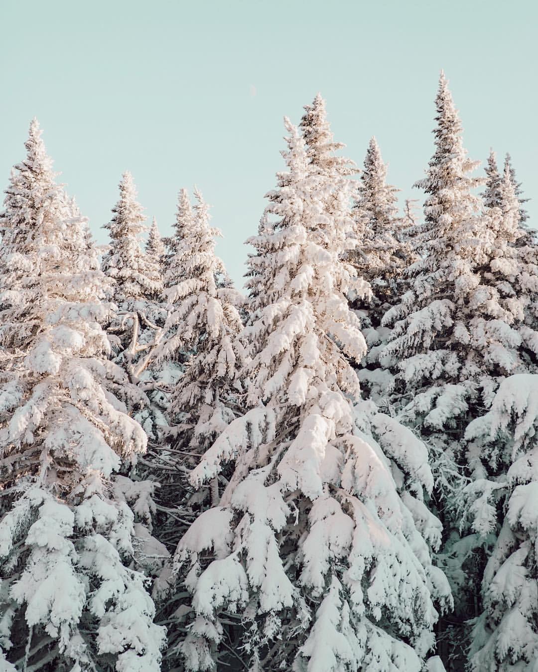 1080x1349 New week, and back to all the snow ghosts. See ya soon, Vermont. ❄️❄️❄️. Scenery, Winter scenes, Winter aesthetic