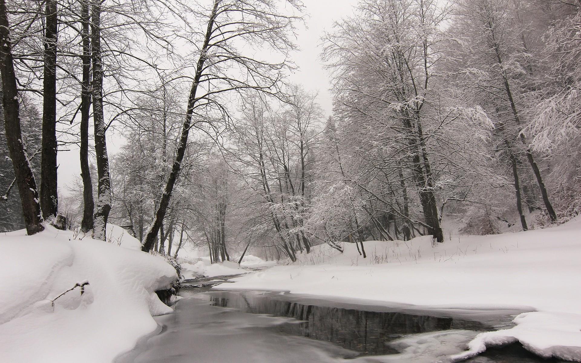 1920x1200 January Wallpaper Sceneries