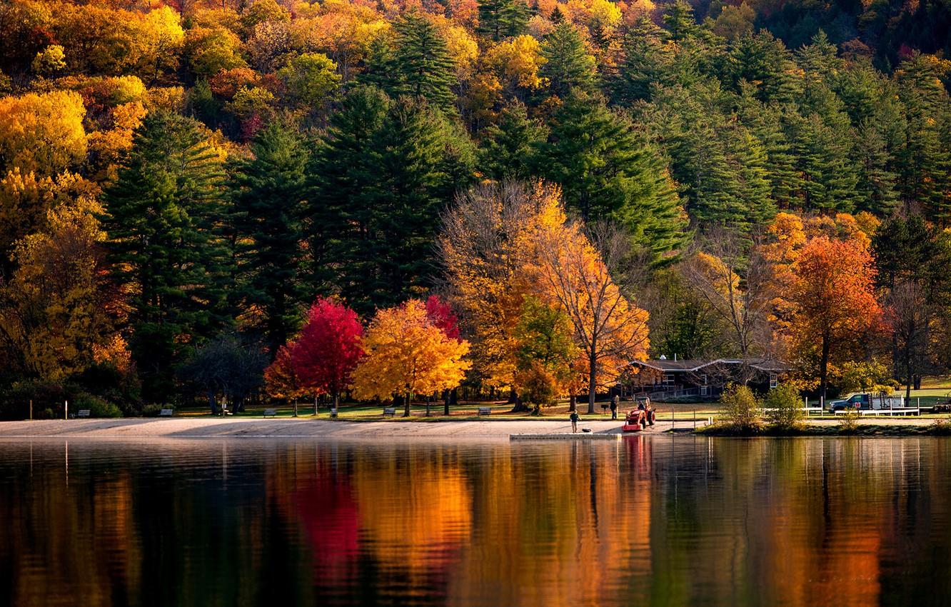 1332x850 Wallpaper autumn, forest, the sun, trees, river, shore, USA, Vermont image for desktop, section природа