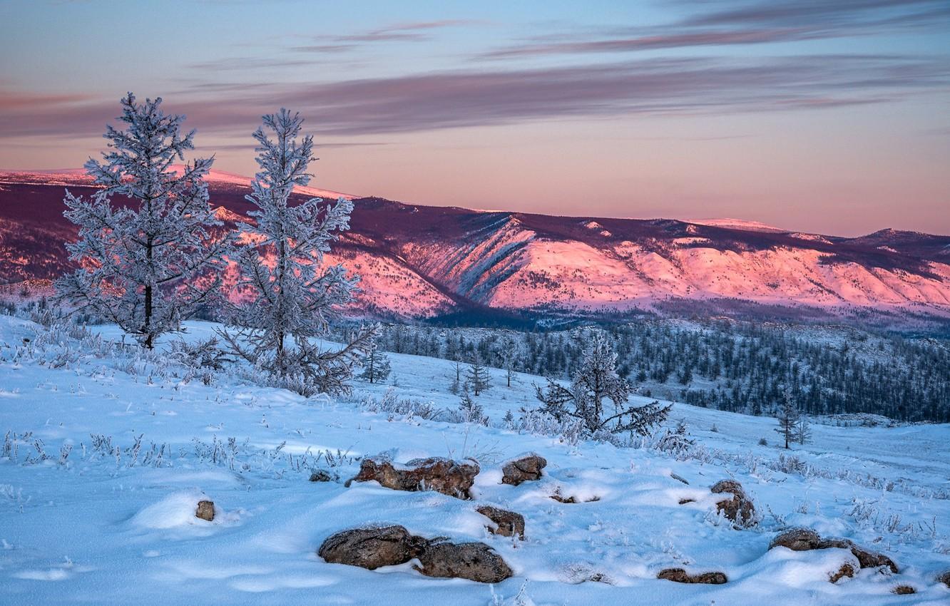 1332x850 Wallpaper winter, snow, trees, landscape, mountains, nature, the steppe, dawn, morning image for desktop, section пейзажи