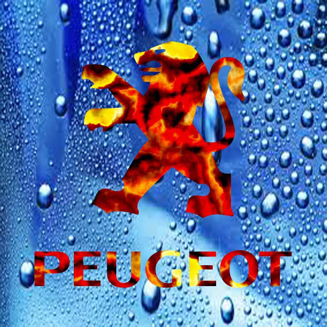 1080x1080 PhotoShop- Peugeot Logo
