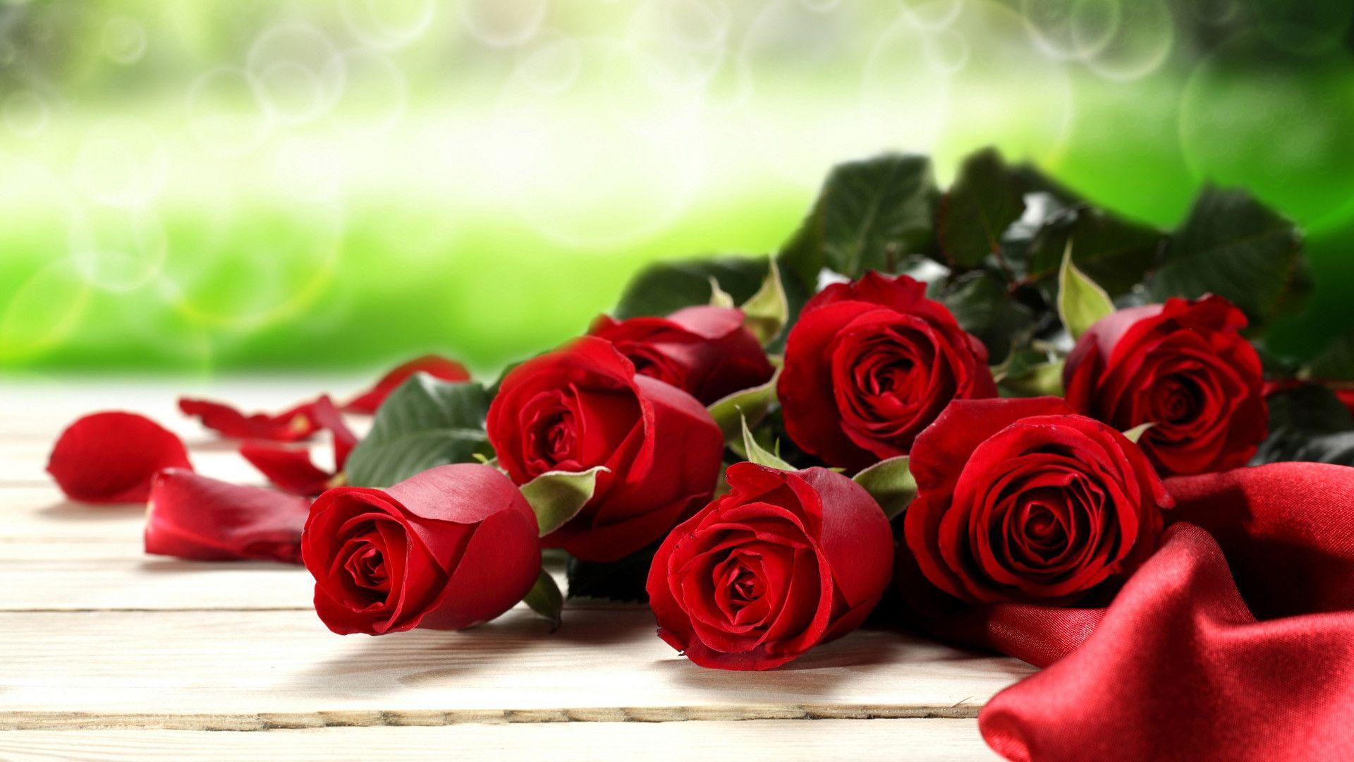 1920x1080 Roses Wallpaper for Desktop background picture