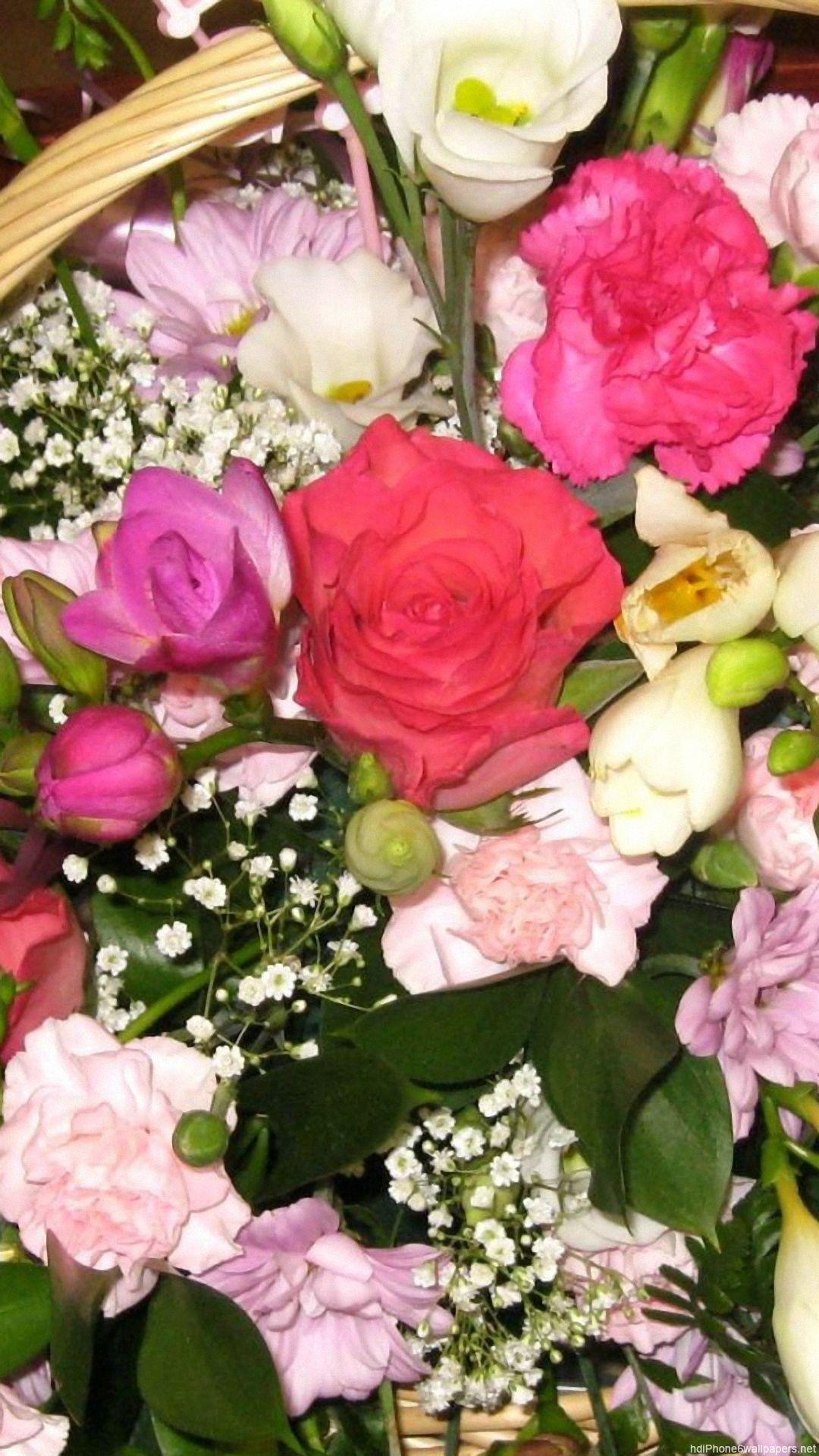 1080x1920 Colorful Rose Wallpaper