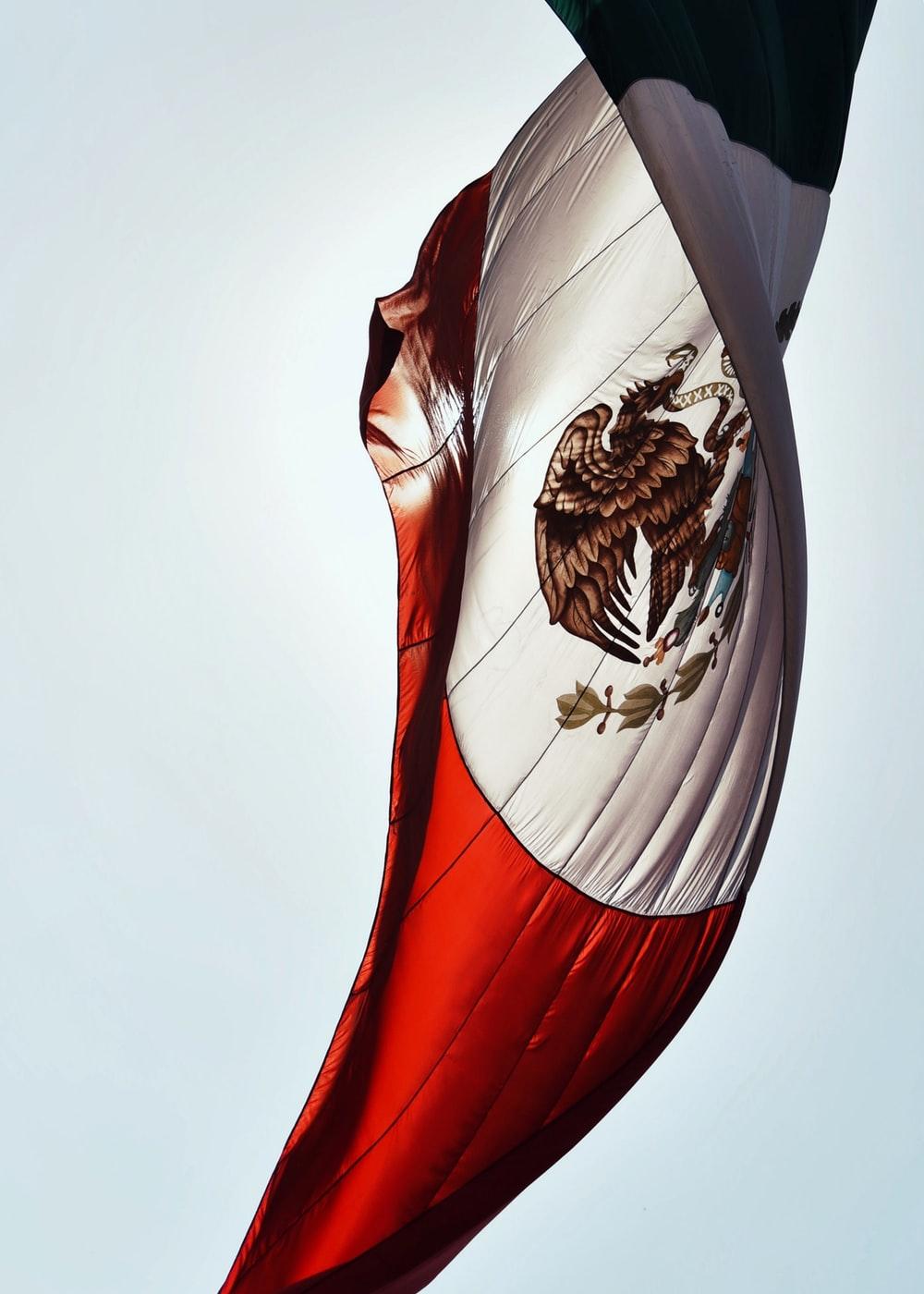 1000x1400 Best Mexican Flag Picture [HD]. Download Free Image