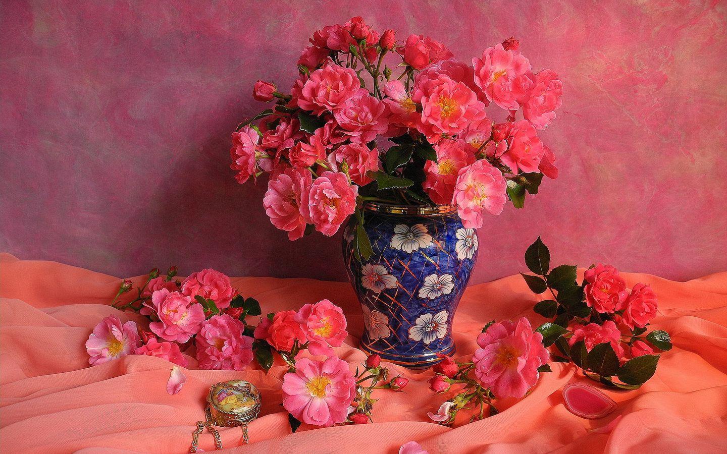 1440x900 Rose Desktop Background