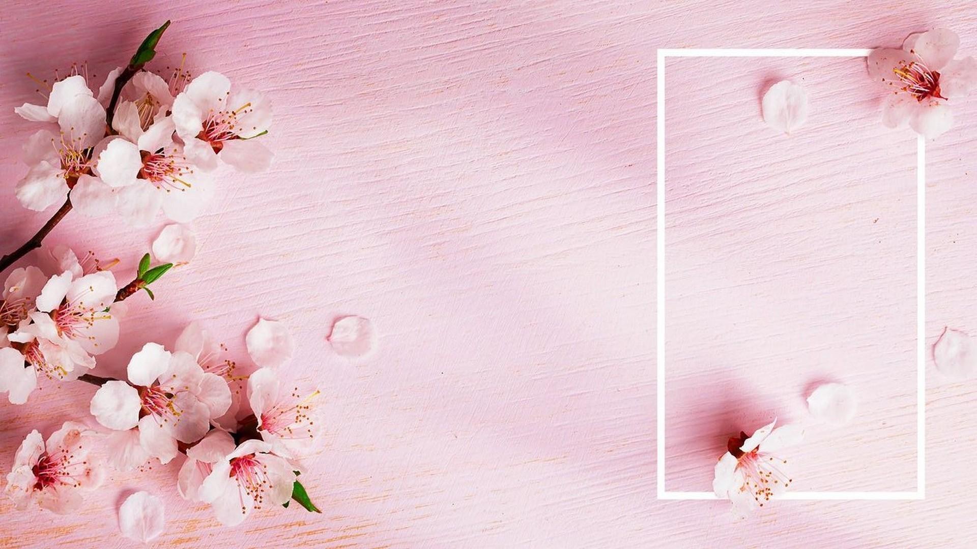1920x1080 Wallpaper Gold Rose Desktop