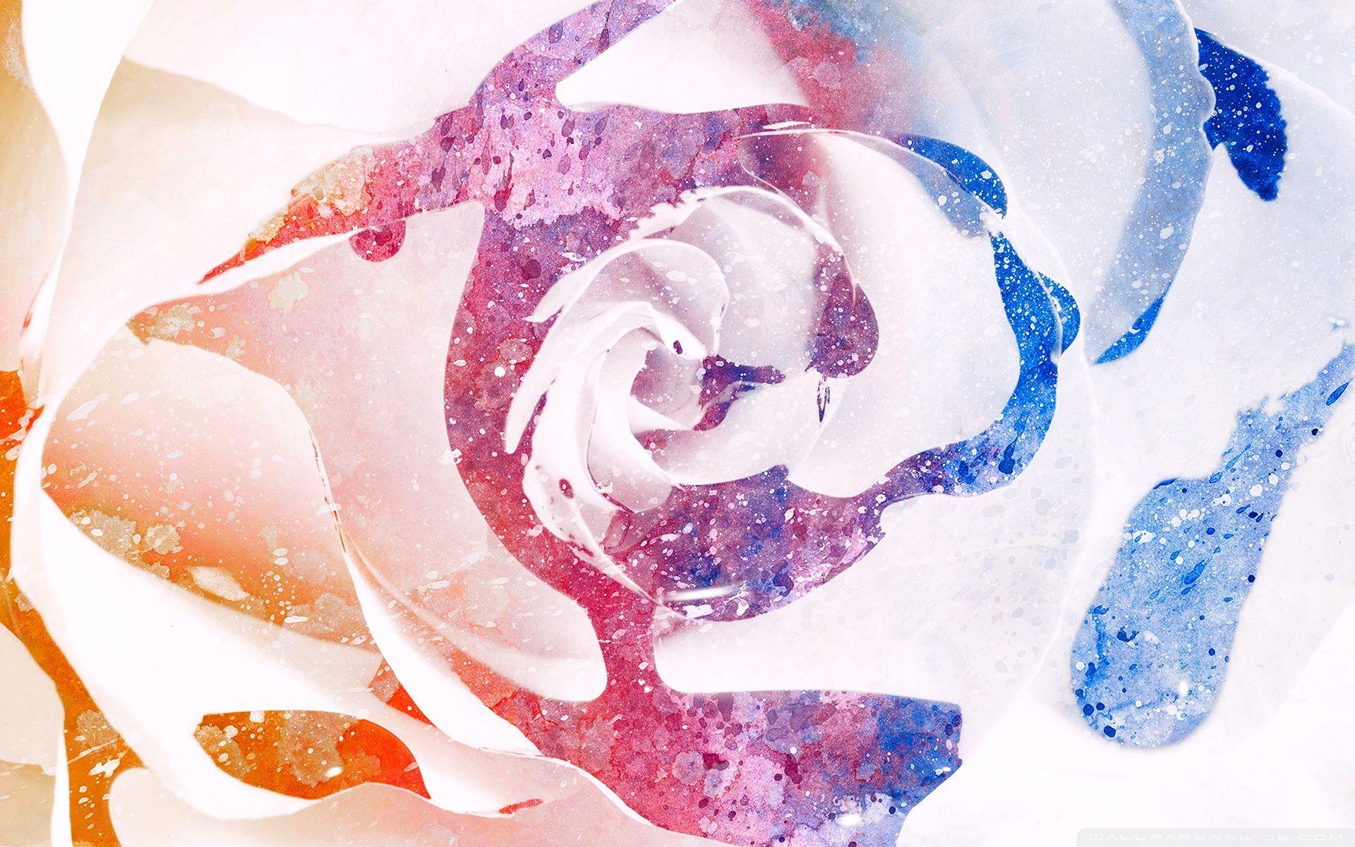 1920x1200 Color Splatter Rose ❤ 4K HD Desktop Wallpaper for 4K Ultra HD TV