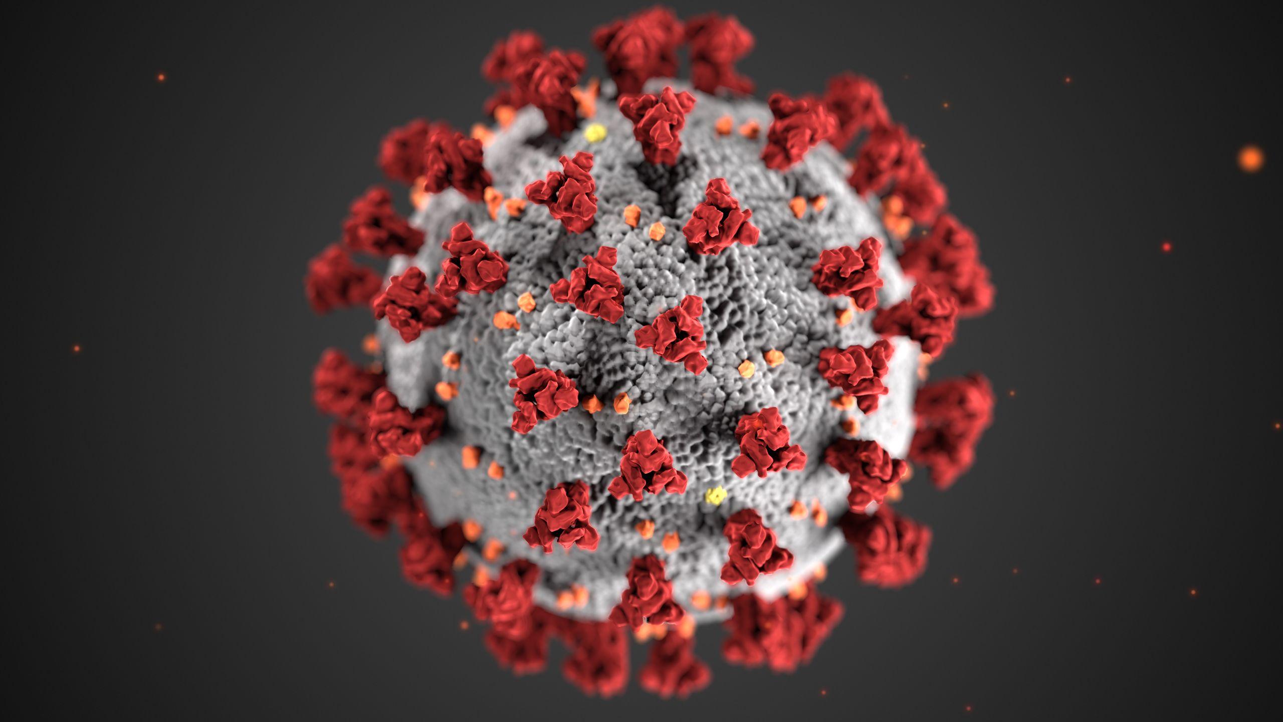 2560x1440 The best science image of 2020