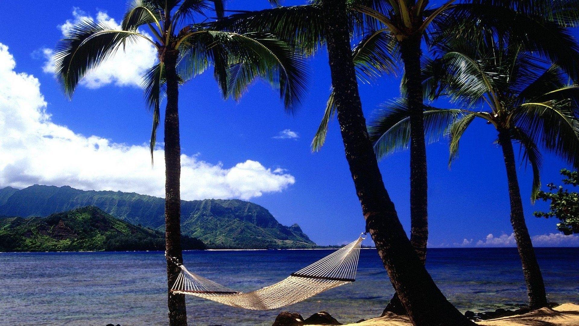 1920x1080 Beaches Afternoon Hawaii Kauai Wallpaper Beautiful Nature Scenes