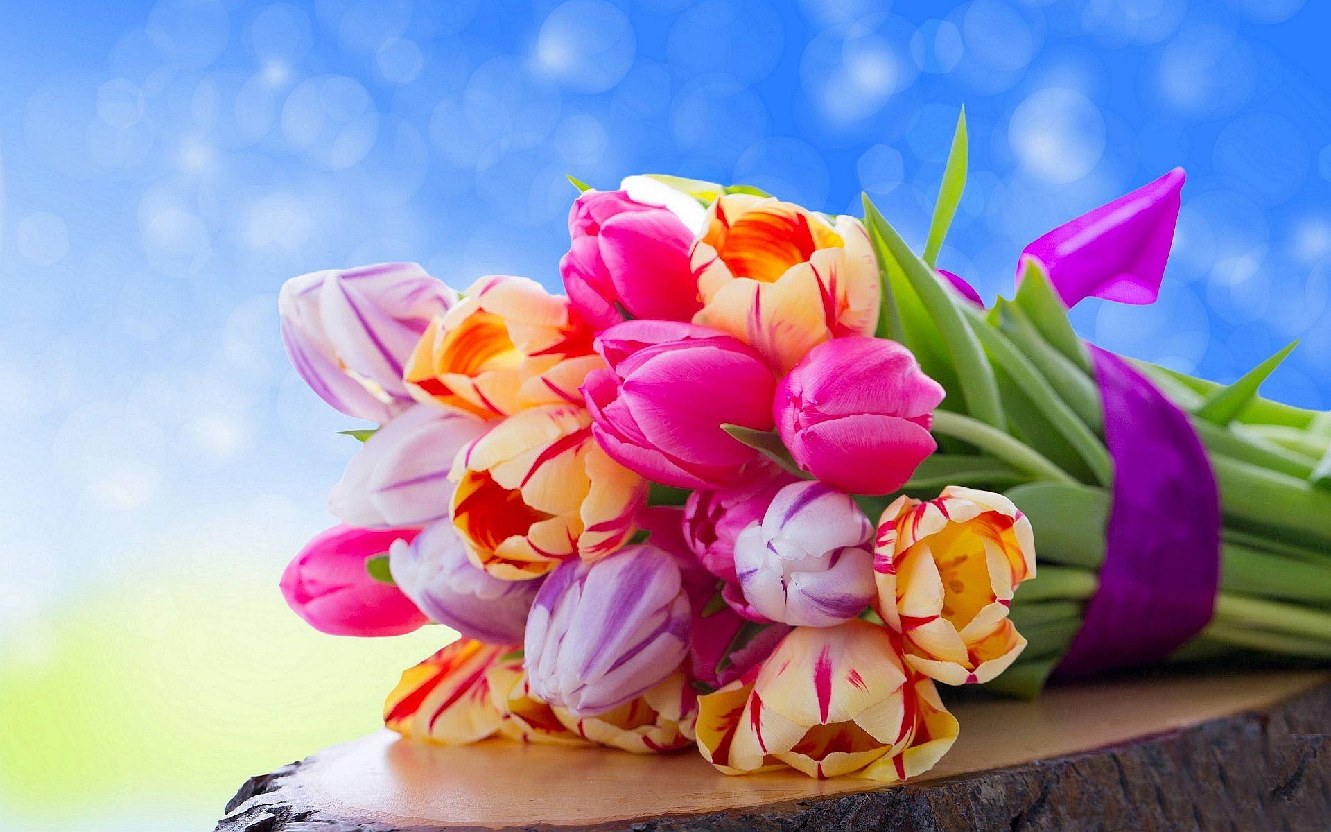 1920x1200 Colorful Tulips Bouquet HD Desktop Wallpaper. HD Desktop Wallpaper