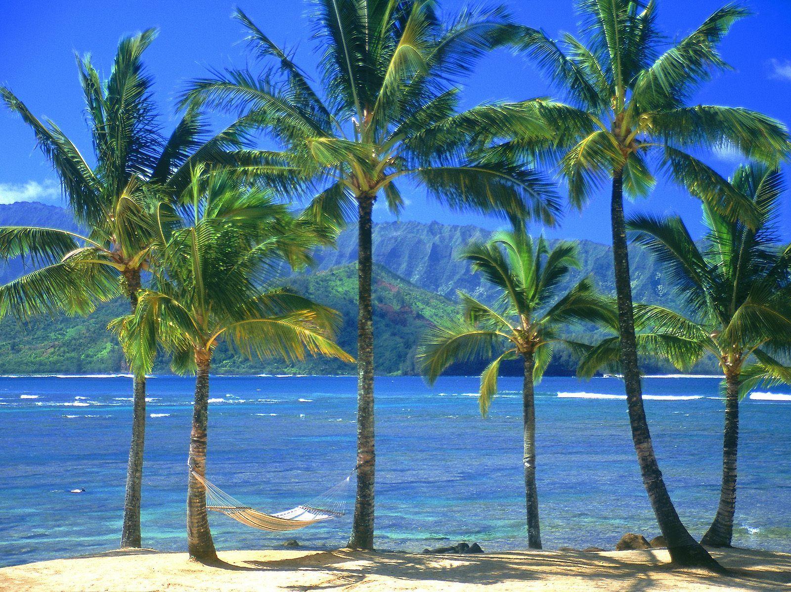 1600x1198 Kauai Wallpaper Wallpaper and Background