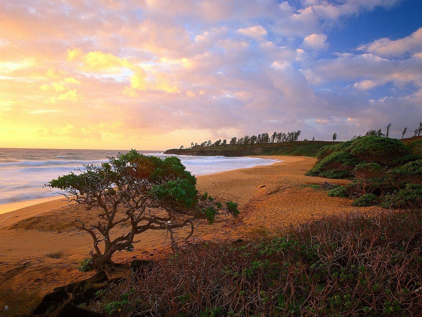 1600x1200 Beaches Donkey Kauai Hawaii Background Wallpaper Of Nature