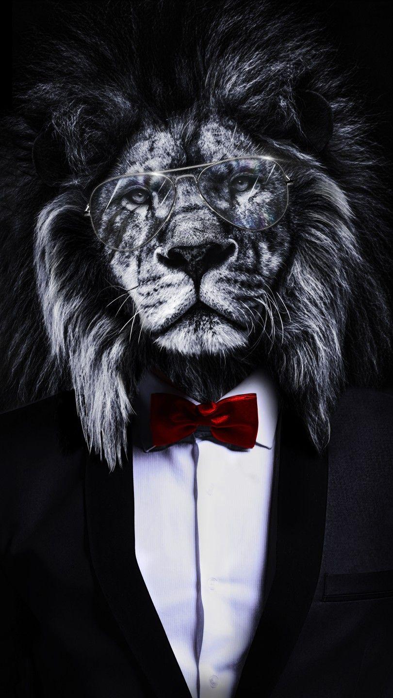 810x1440 Lion wallpaper. Lion image, Lion picture, Lion wallpaper iphone