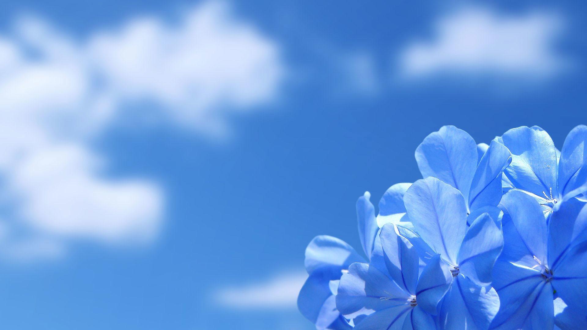 1920x1080 Blue Sky Wallpaper Background