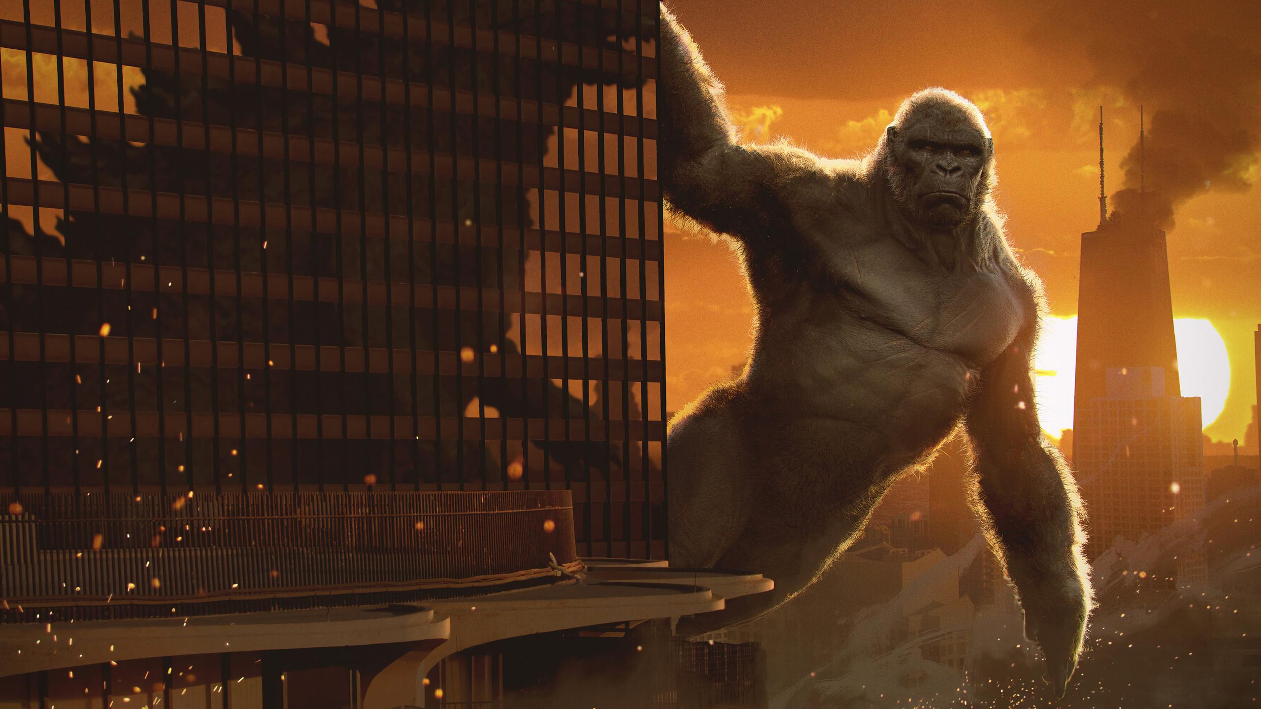 2560x1440 King Kong 1440P Resolution HD 4k Wallpaper, Image, Background, Photo and Picture