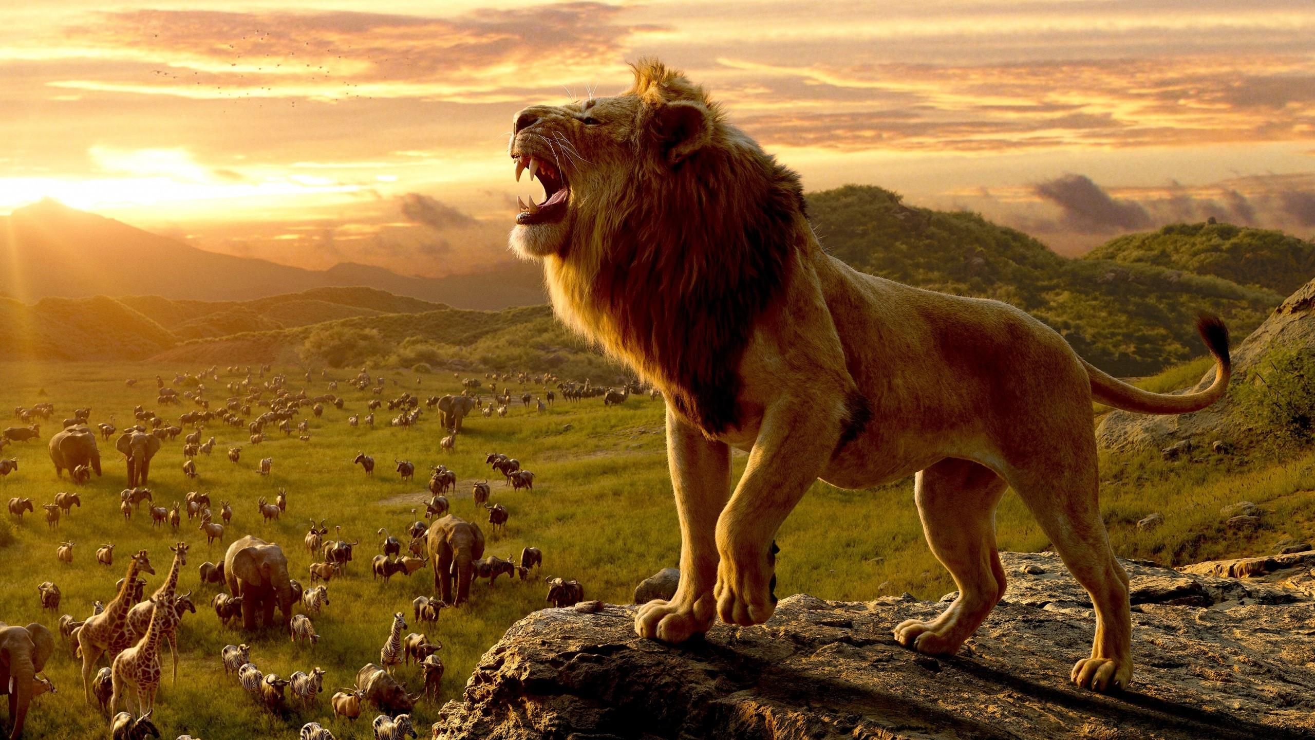 2560x1440 Download 2560x1440 Simba, The Lion King, Roar, Cliff Wallpaper for iMac 27 inch