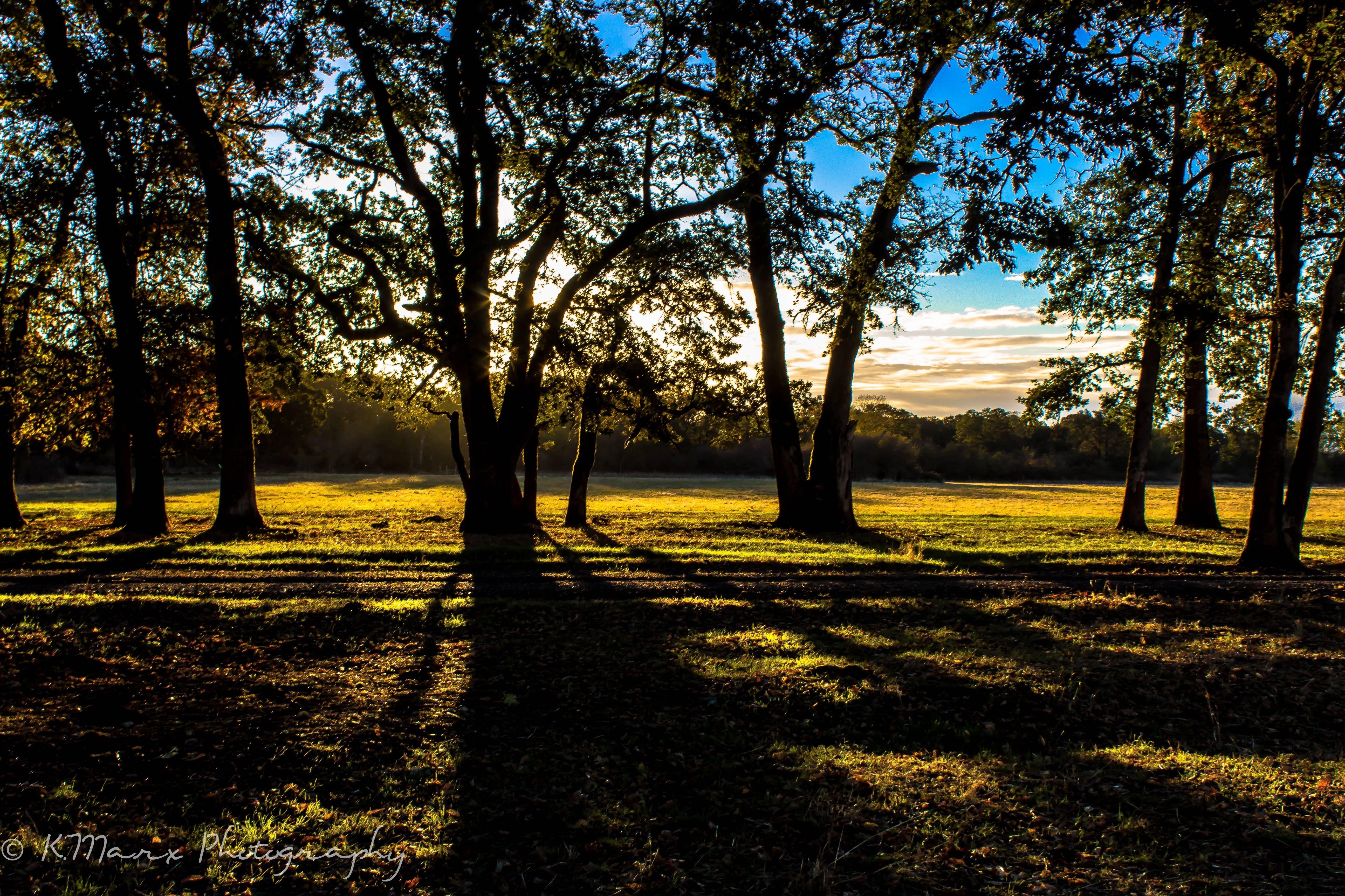 5184x3456 of Autumn 4K wallpaper for your desktop or mobile screen