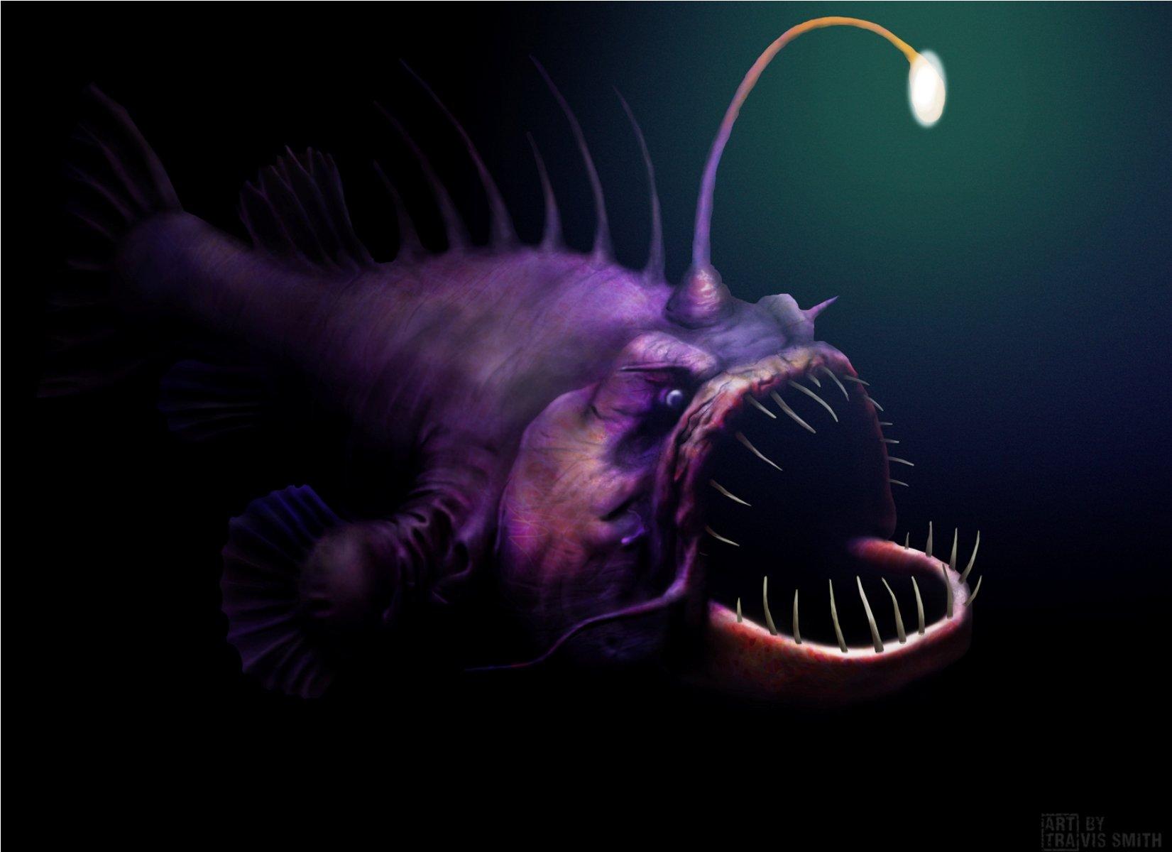 1651x1200 Free download anglerfish Fish Ocean Sea Underwater Dark Creepy Monster [1651x1200] for your Desktop, Mobile & Tablet. Explore Anglerfish Wallpaper. Anglerfish Wallpaper