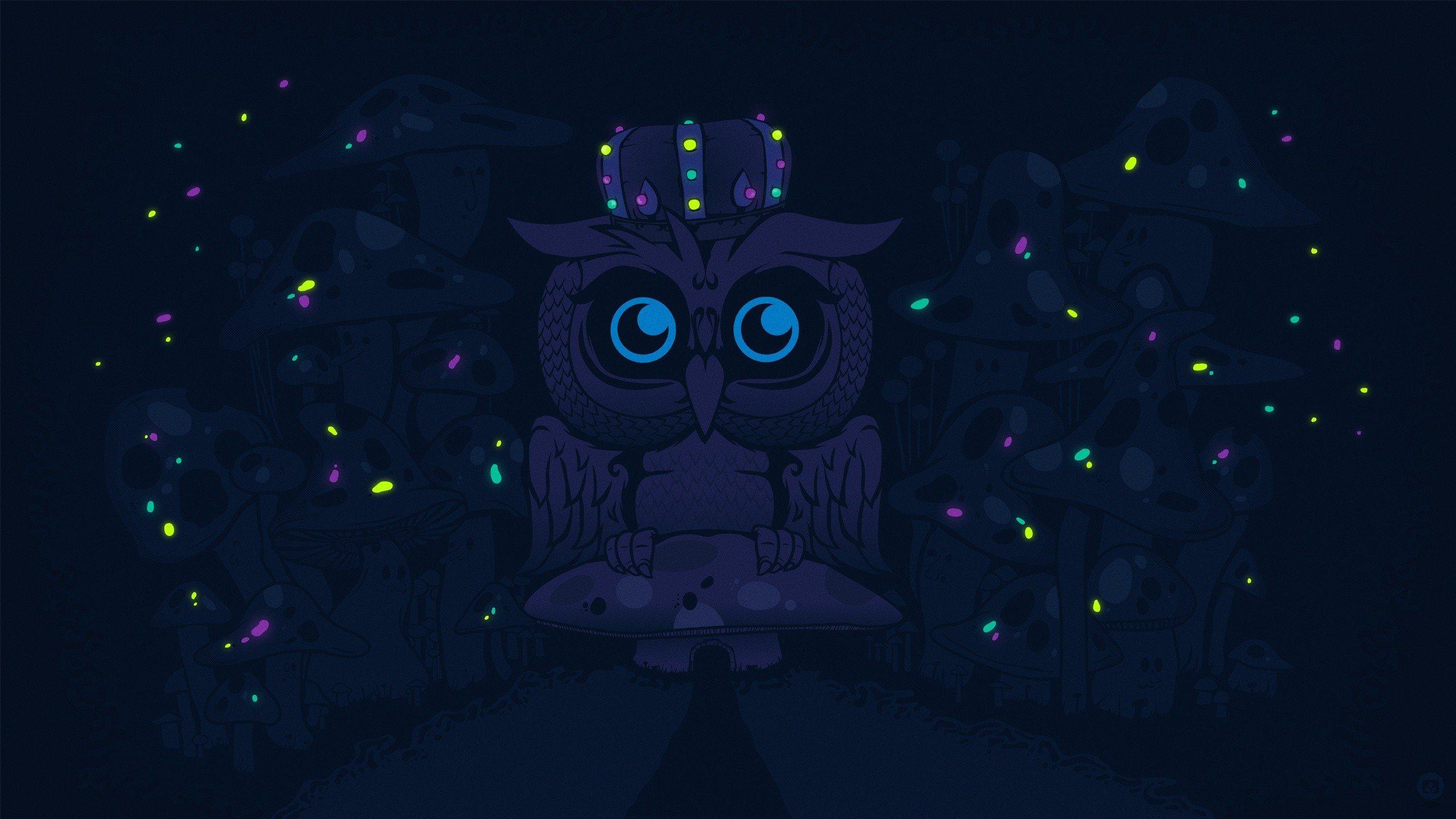 2560x1440 Owl King HD wallpaper