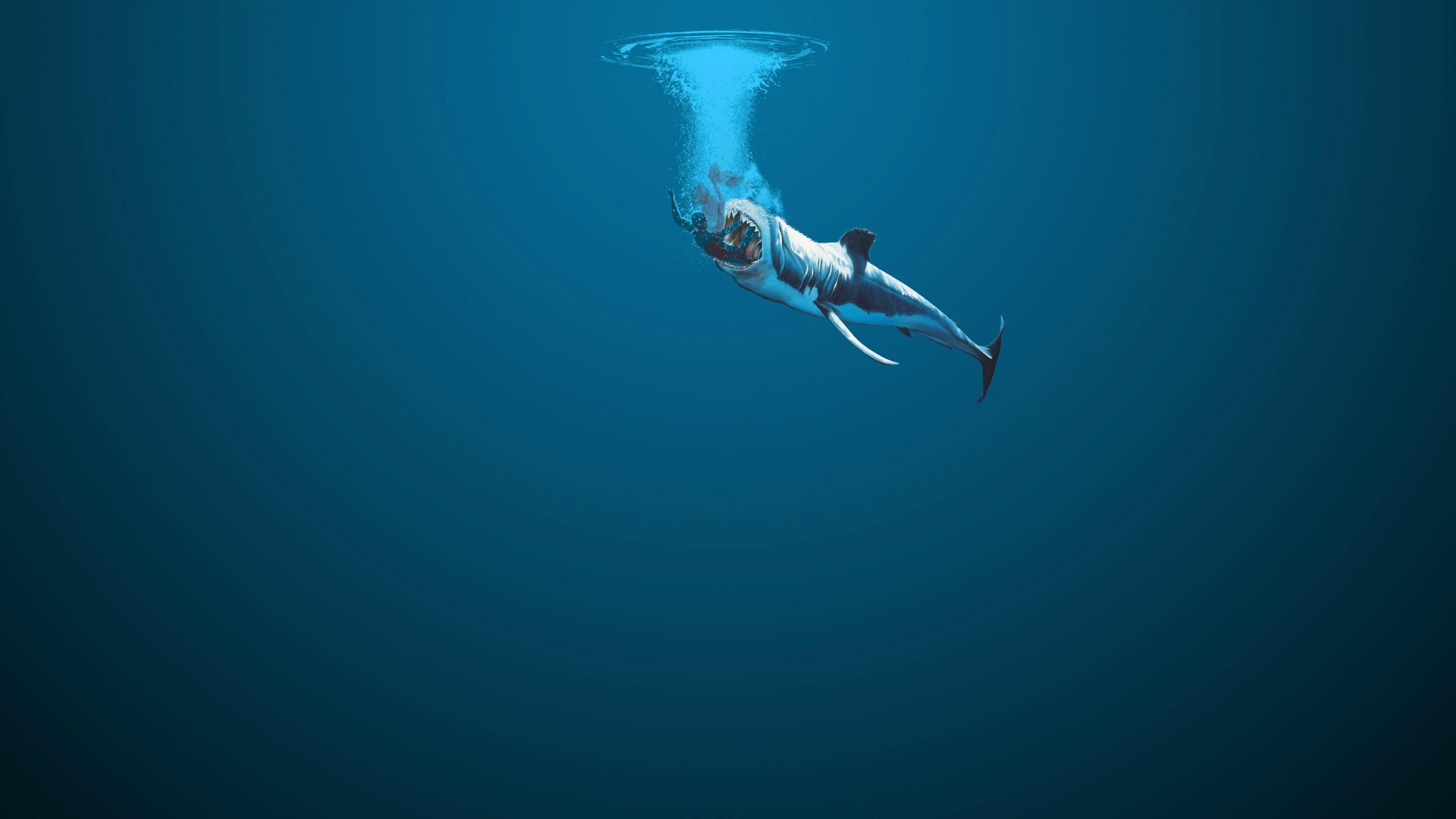 2560x1440 The Ocean Is A Beautiful, Frightening Place: pics