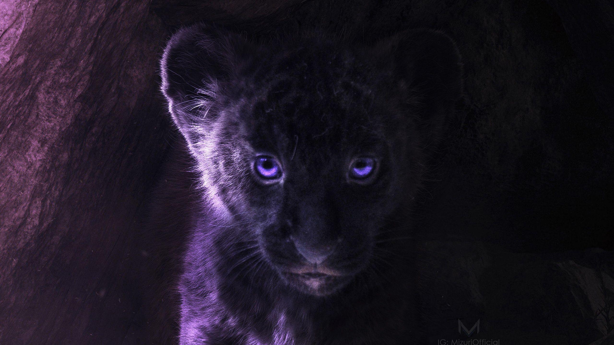 2560x1440 Lion King Dark wallpaper in 2560x1440 resolution