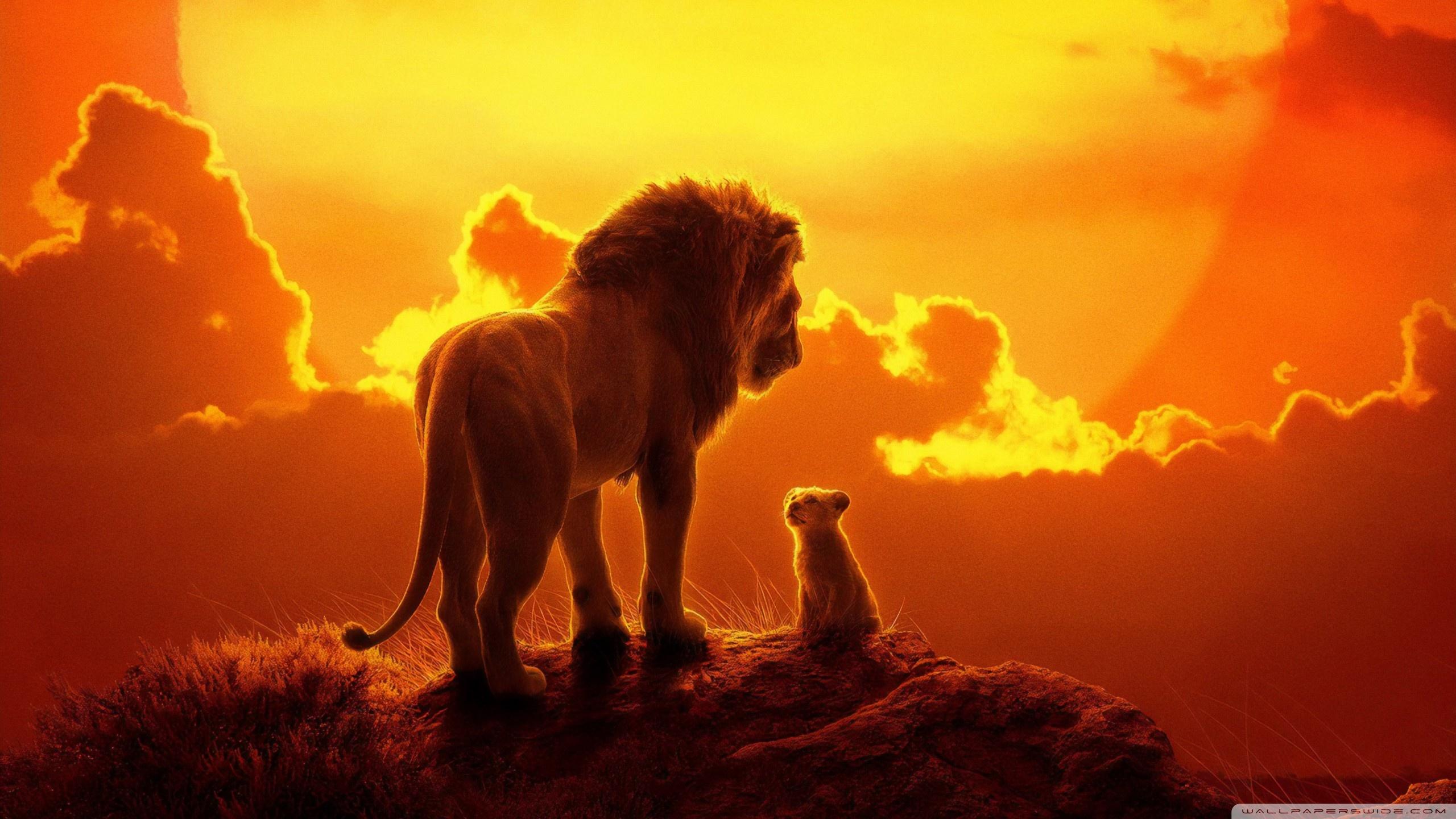 2560x1440 Free download The Lion King 2019 4K HD Desktop Wallpaper for 4K Ultra HD TV [2560x1440] for your Desktop, Mobile & Tablet. Explore Lion King 2019 Wallpaper