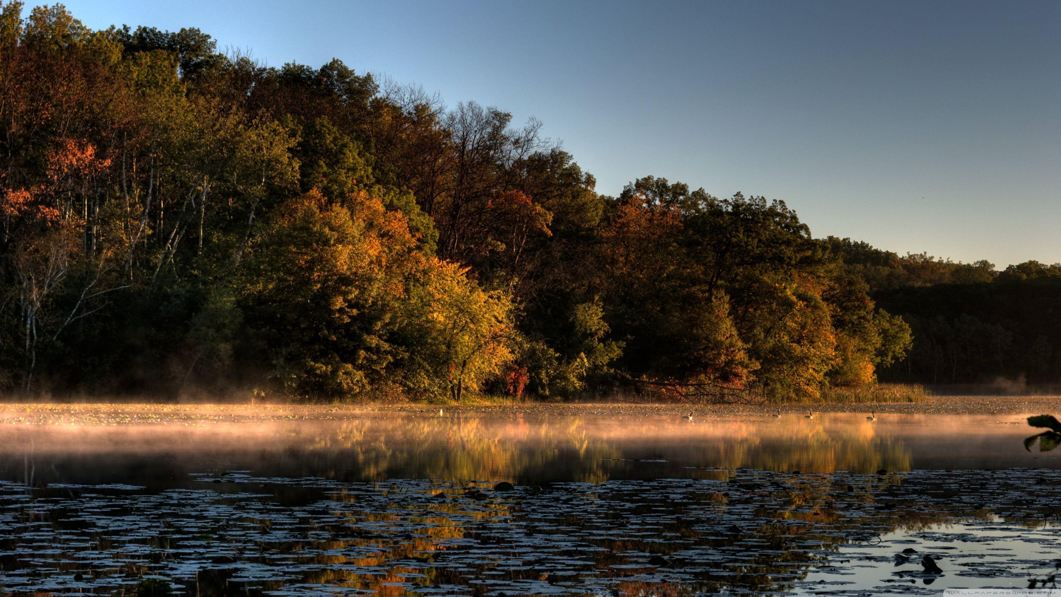 3554x1999 Minnesota Wallpaper