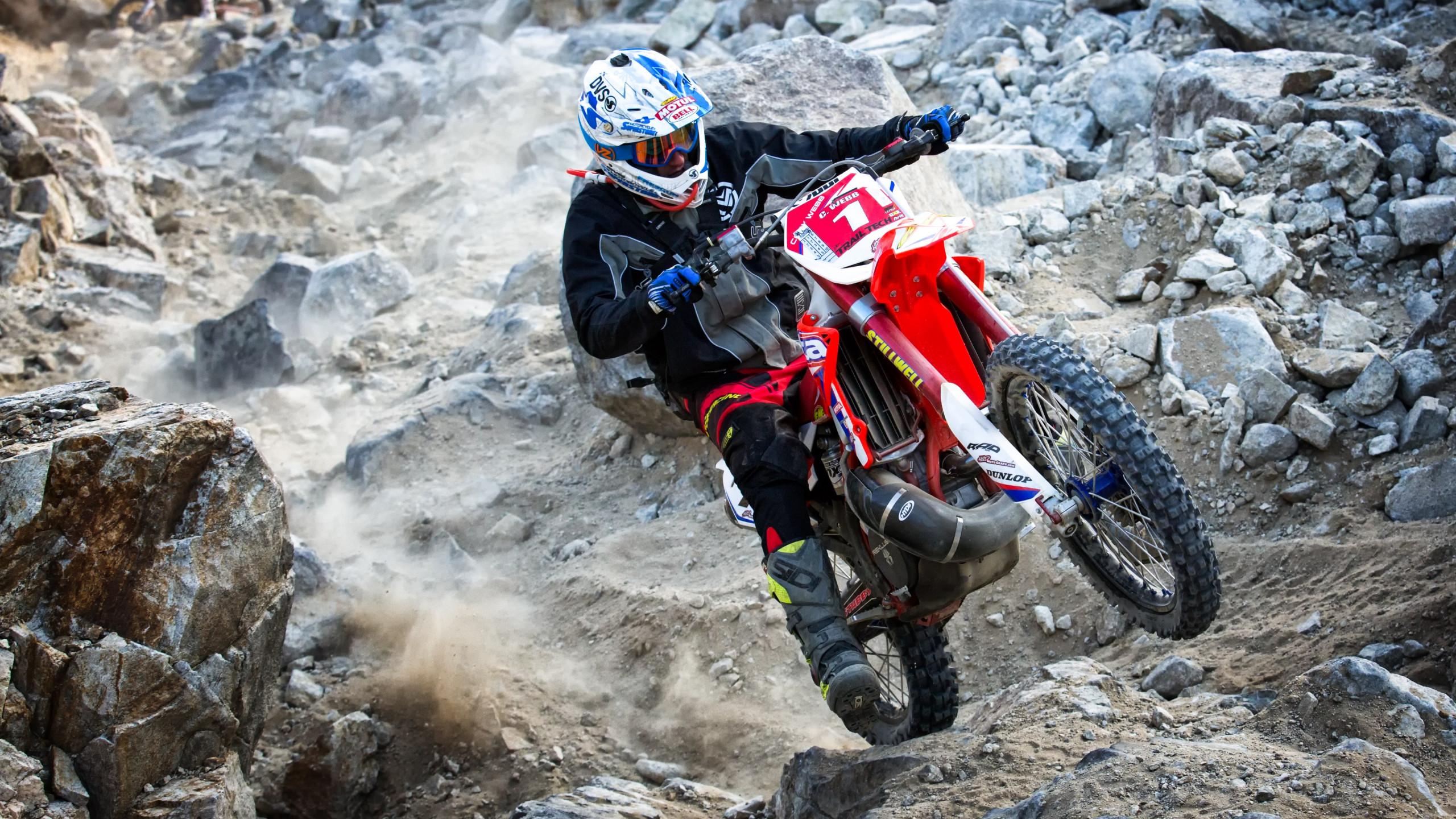 2560x1440 Download wallpaper: King of the motocross 2560x1440