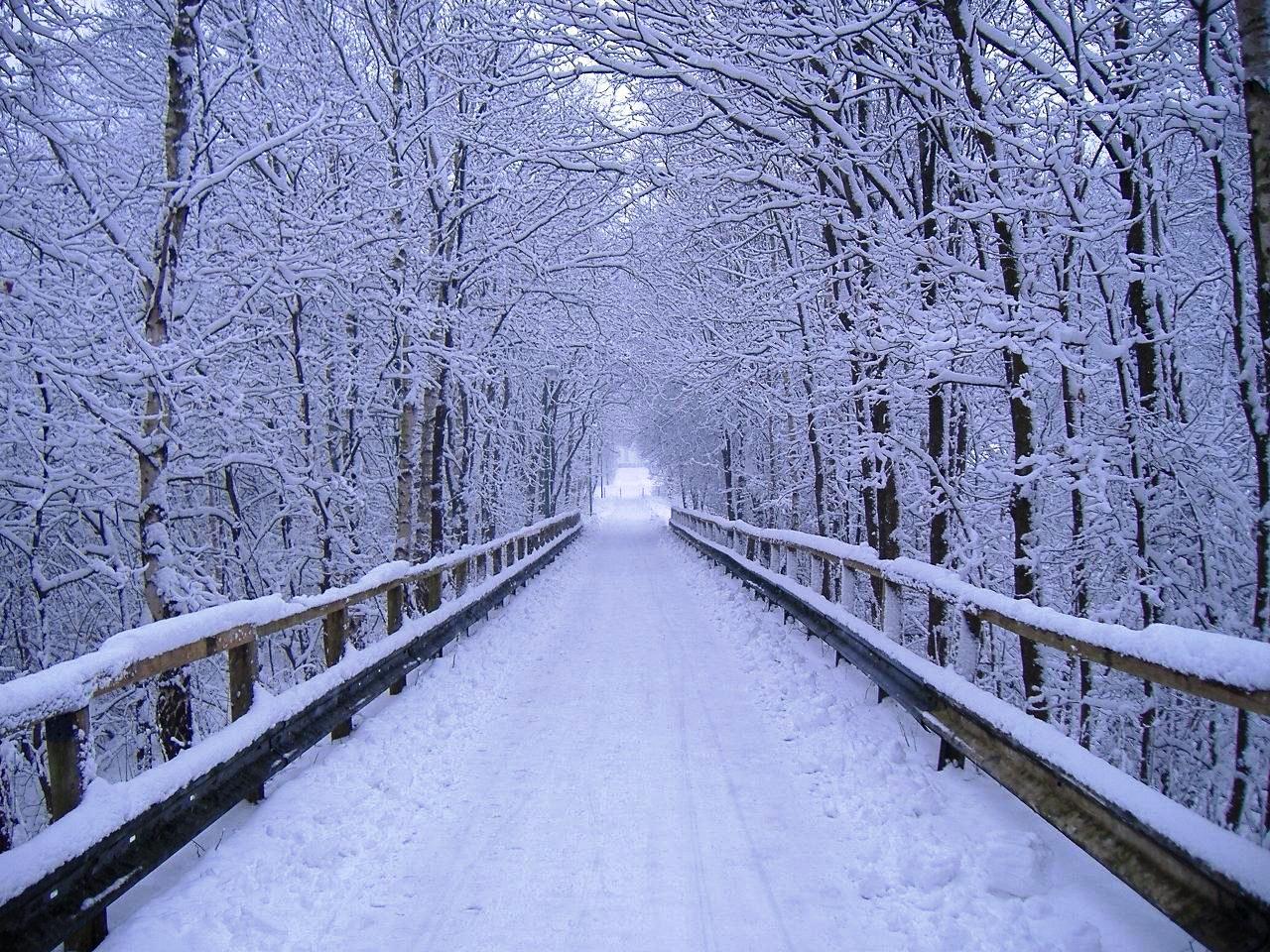 1280x960 Minnesota Winter Wallpaper