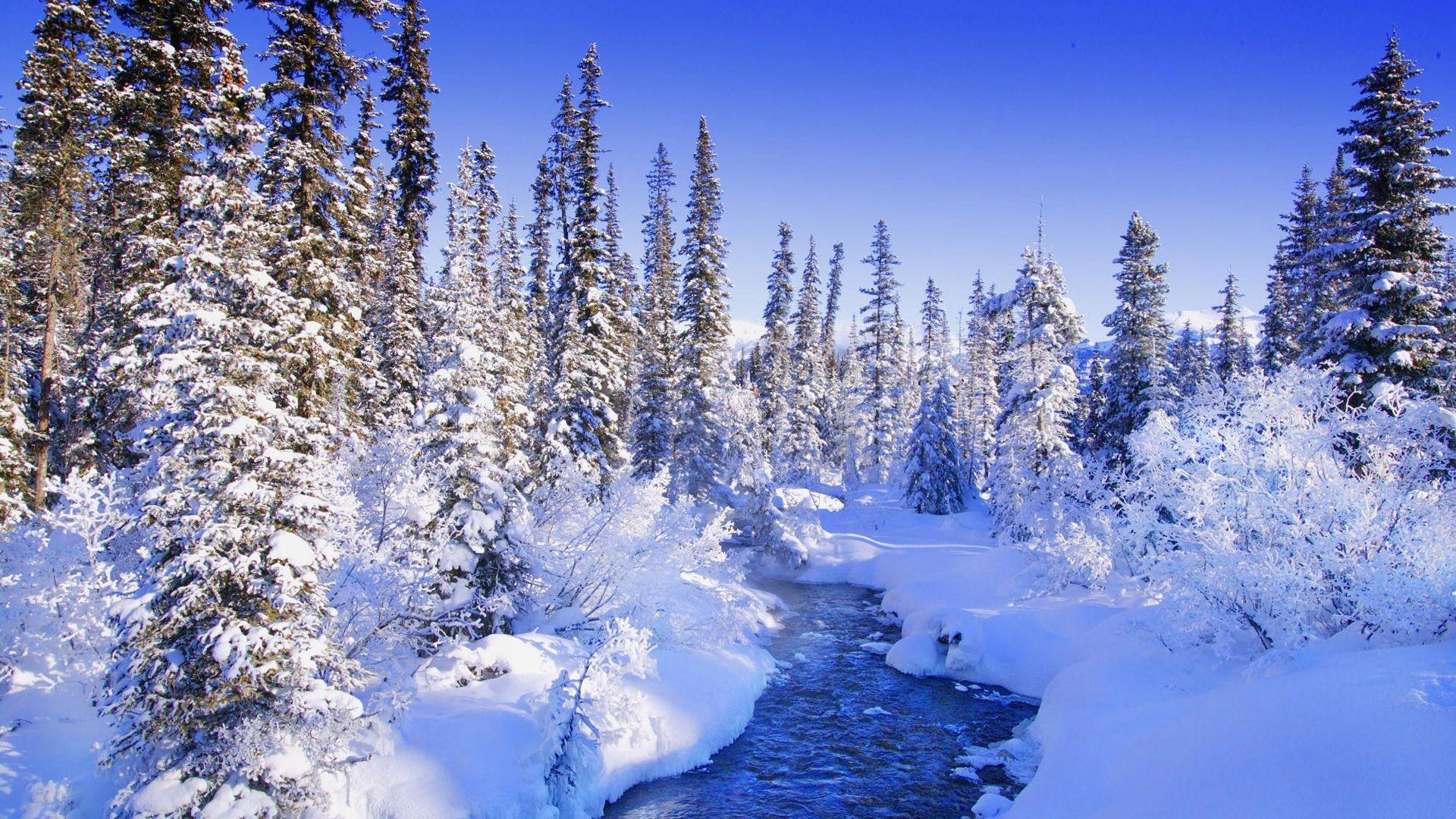 1920x1080 Download Wallpaper 1920x1080 Fur Trees, Trees, Snow, River, Snowdrifts, Bushes, Hoarfrost Full HD 1080p HD Backgr. Winter Scenery, Winter Nature, Winter Landscape