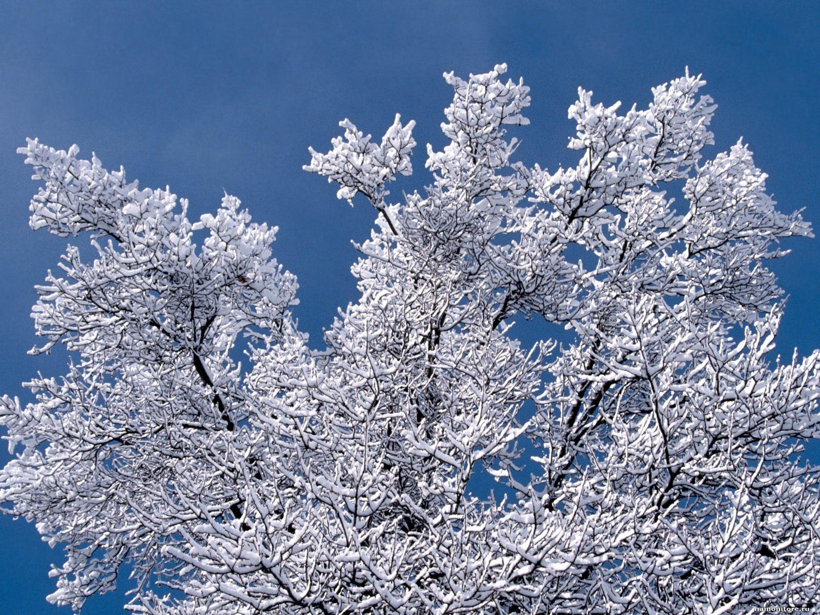 1600x1200 Minnesota Winter Wallpaper