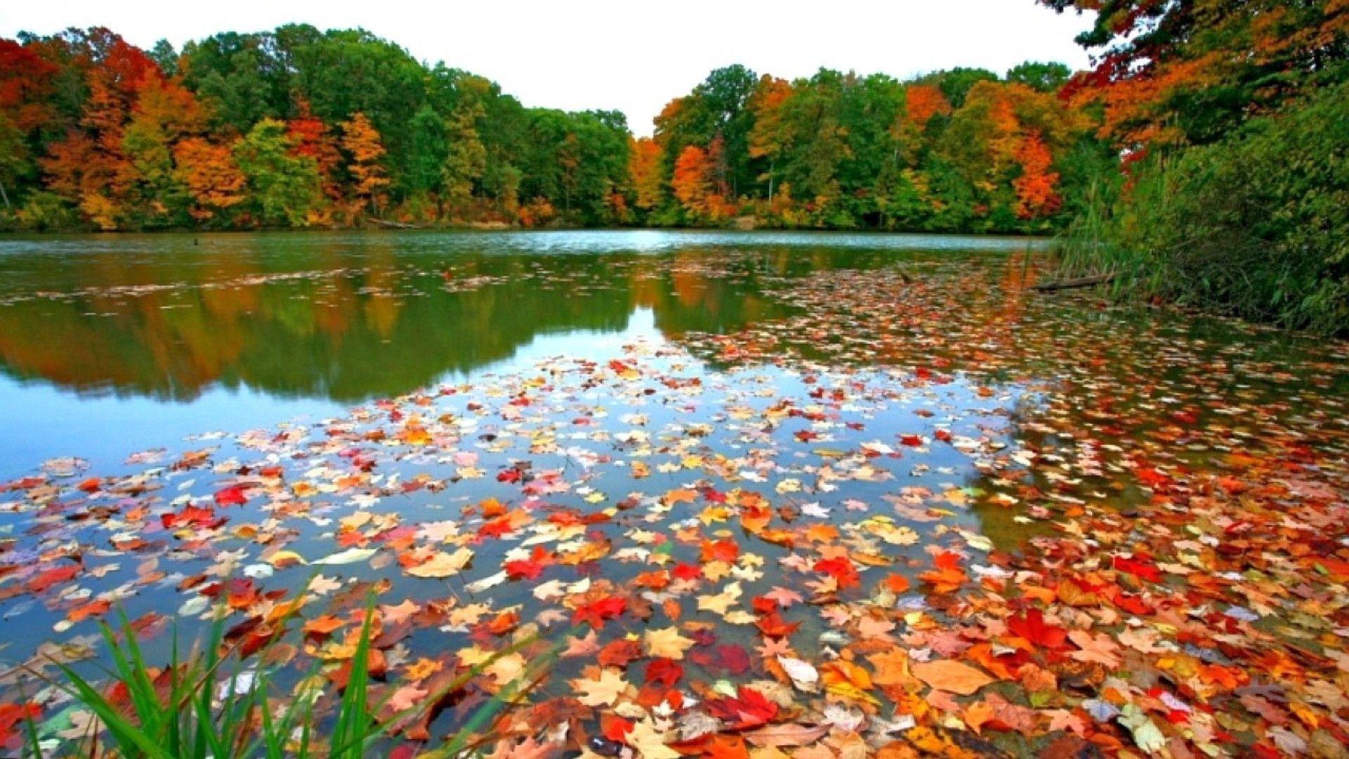1920x1080 Fall Scenery Wallpaper for Computer
