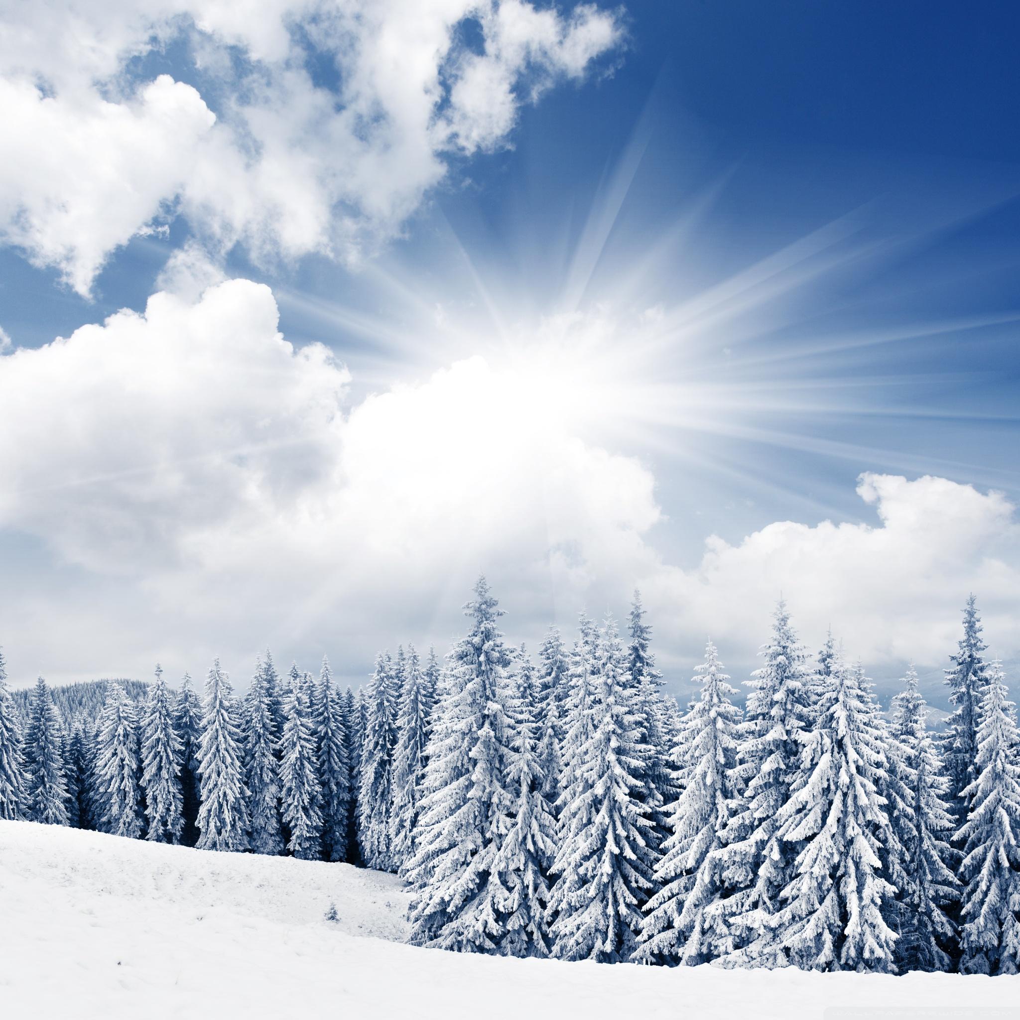 2048x2048 Winter Ultra HD Desktop Background Wallpaper for 4K UHD TV : Multi Display, Dual Monitor : Tablet