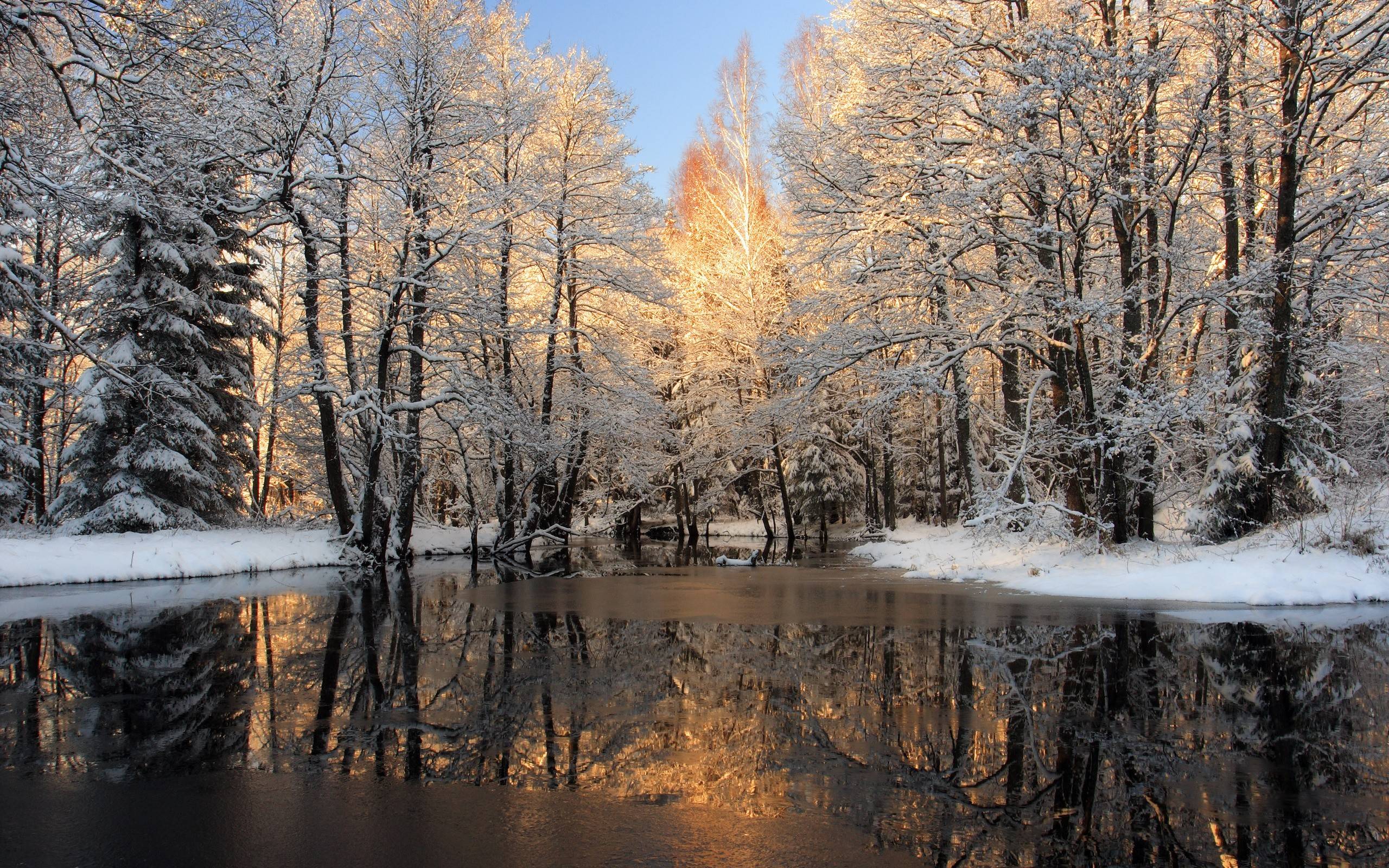 2560x1600 Winter Nature Scenes Wallpaper