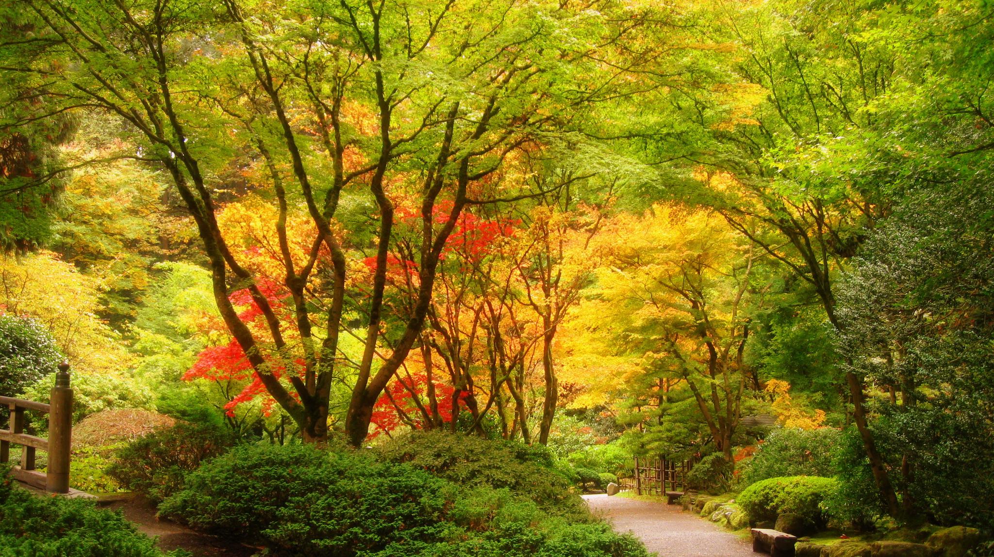 2048x1149 USA Garden Portland Japanese Trees Nature autumn fall wallpaperx1149