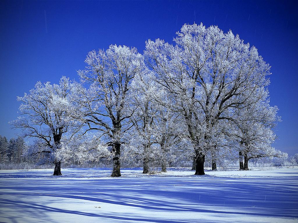 1024x768 Free Minnesota wallpaperx1080