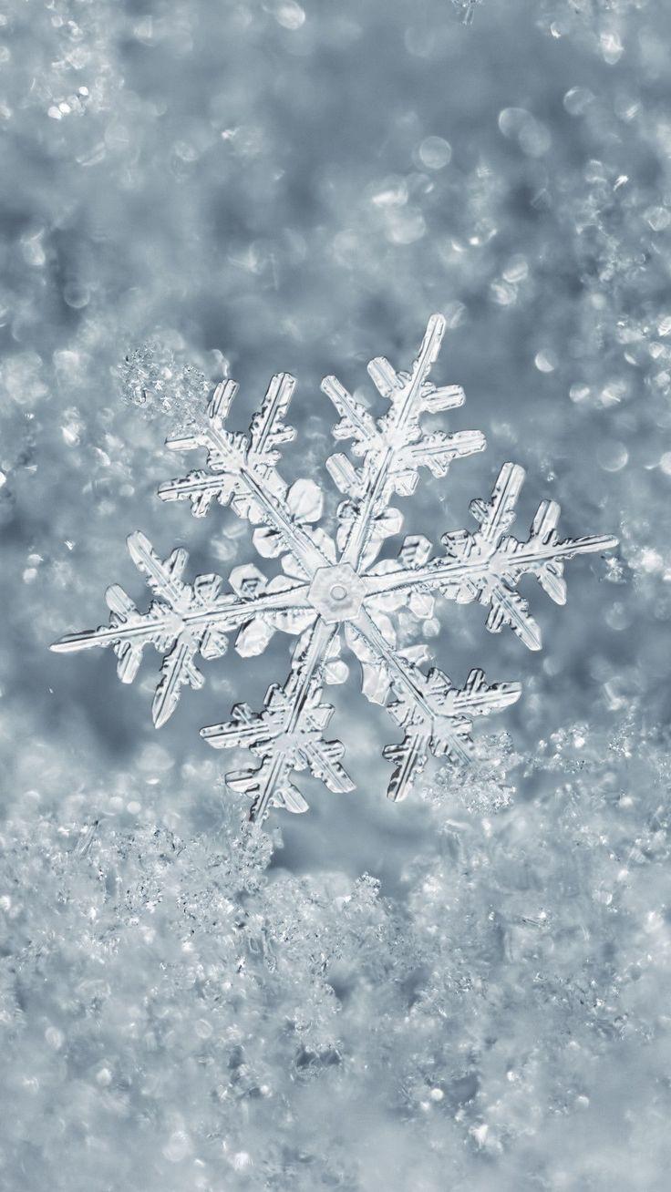 736x1308 Minnesota Snow ideas. winter wallpaper, christmas wallpaper, winter scenery