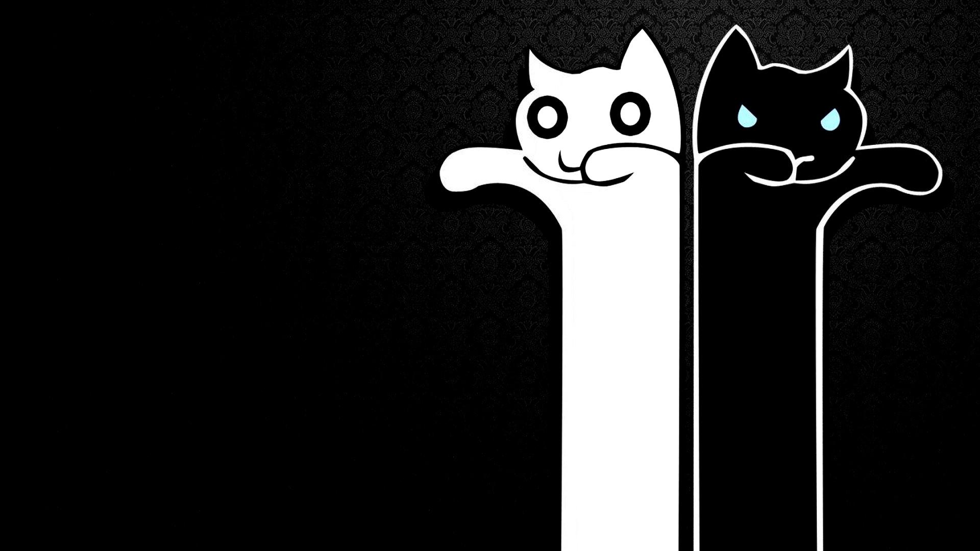 1920x1080 Cute Black HD Background Live Wallpaper HD