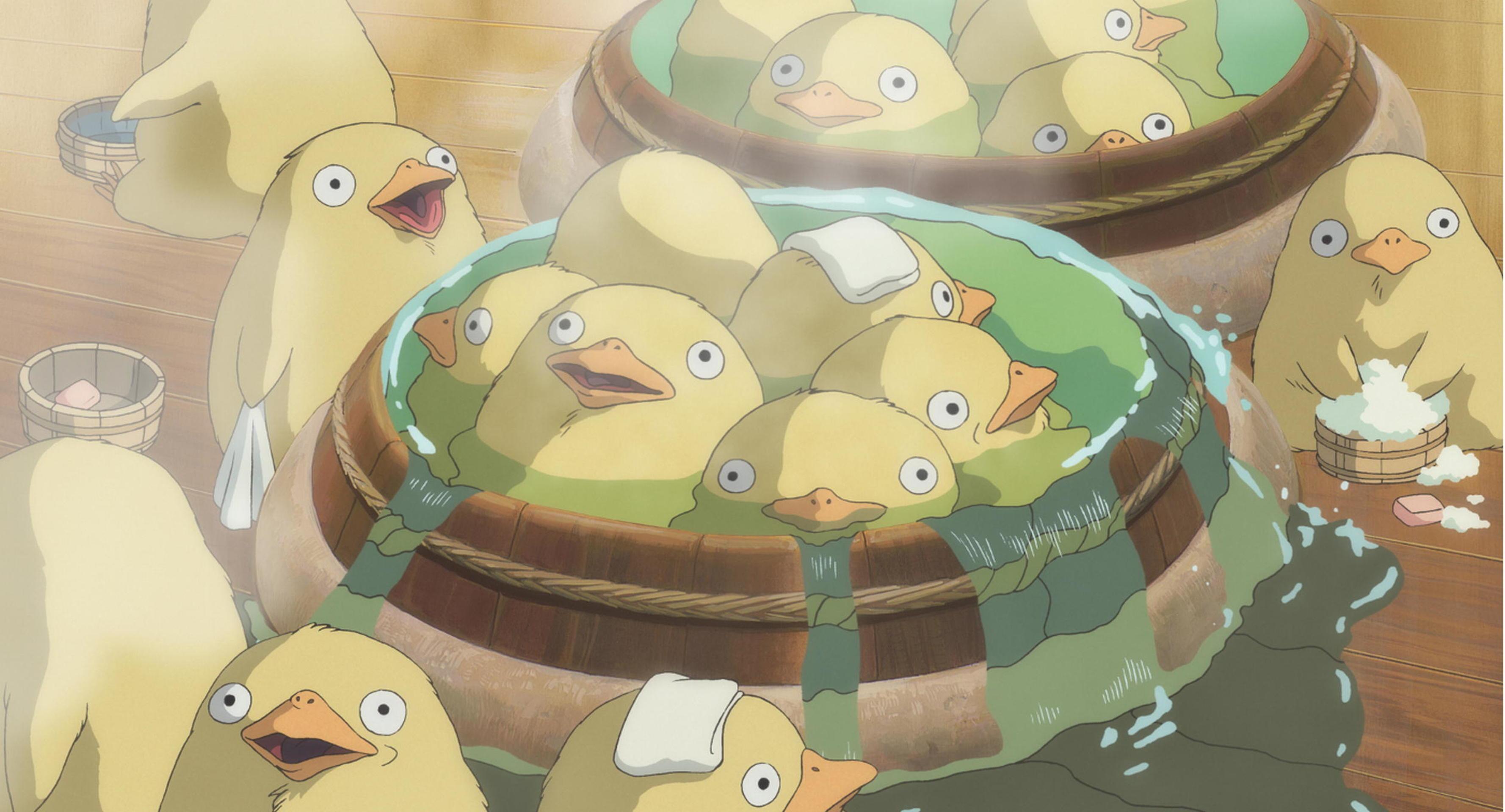 3555x1920 Fat Chickens Wallpaper
