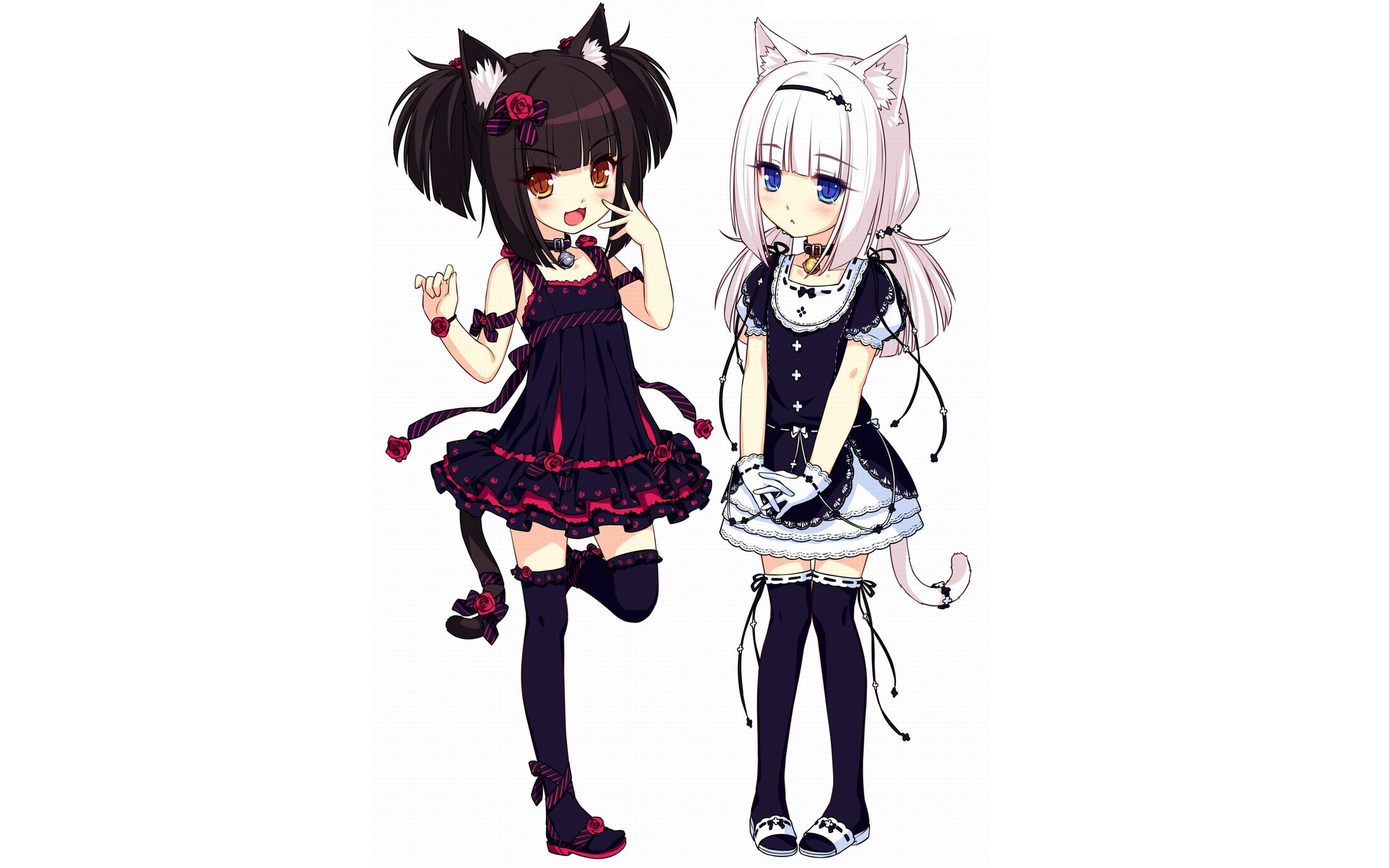 2560x1600 Neko Para, Anime Girls, Animal Ears, Loli Wallpaper HD / Desktop and Mobile Background