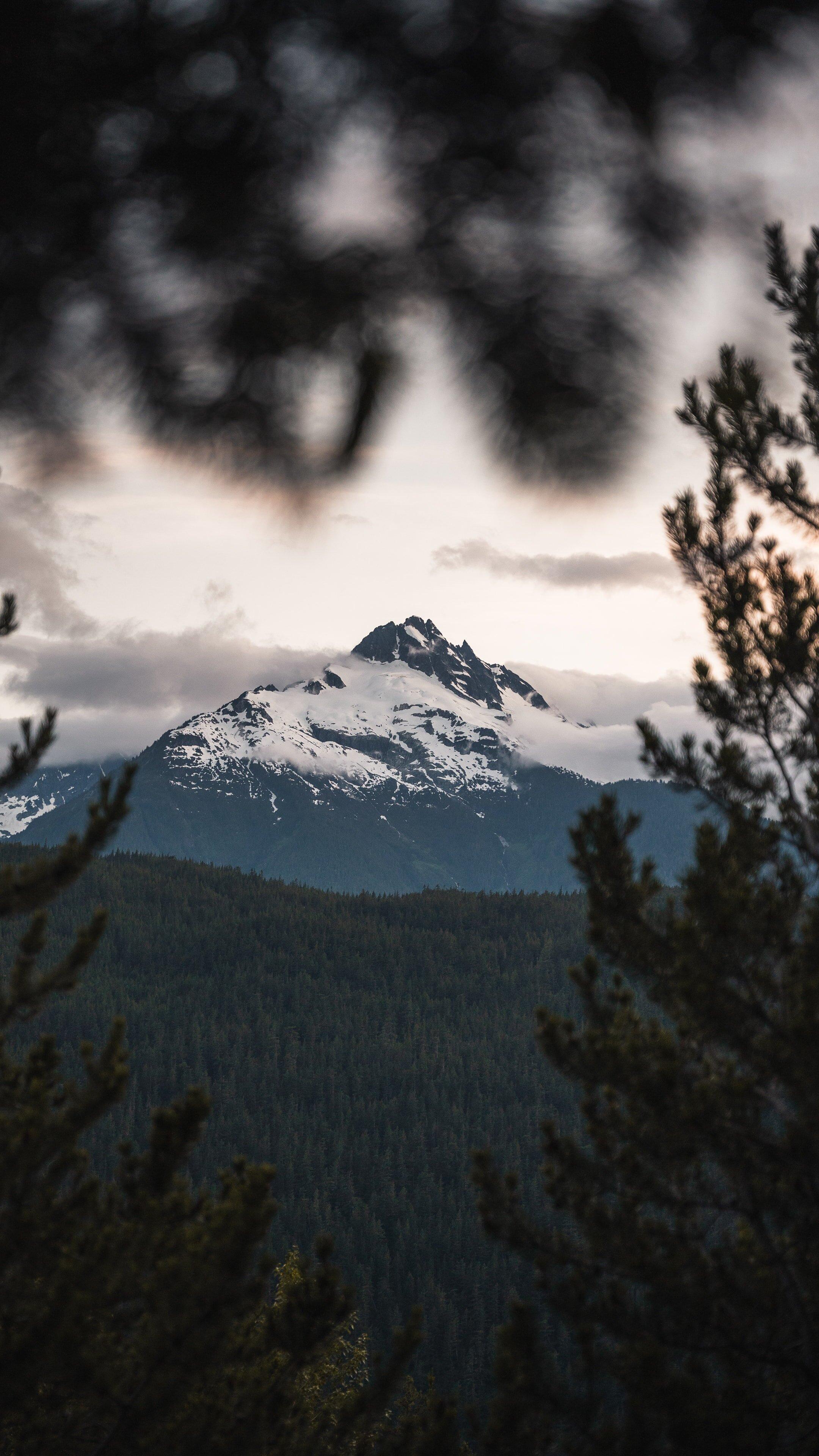 2160x3840 Free Wallpaper for iPhone