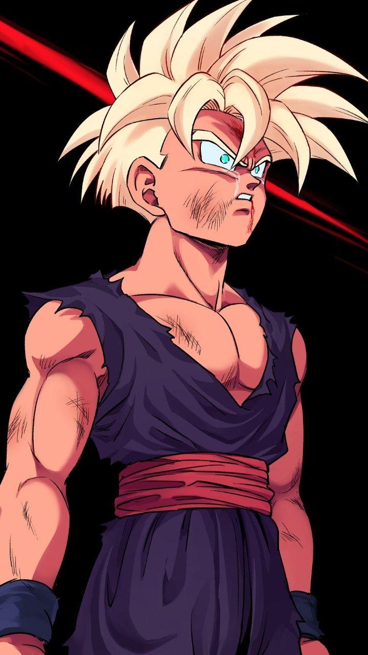 Gohan Supreme Wallpapers - Top Free Gohan Supreme Backgrounds ...