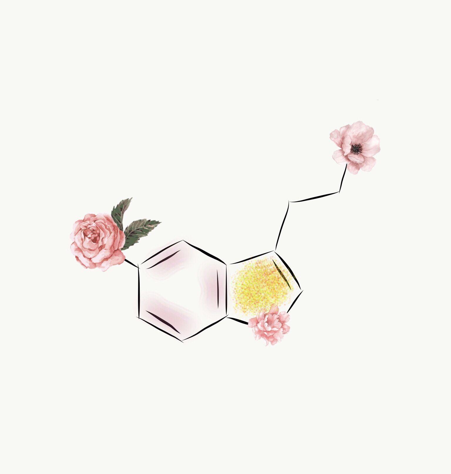 1536x1615 Serotonin Molecule. Biology art, Chemistry art, Molecule art