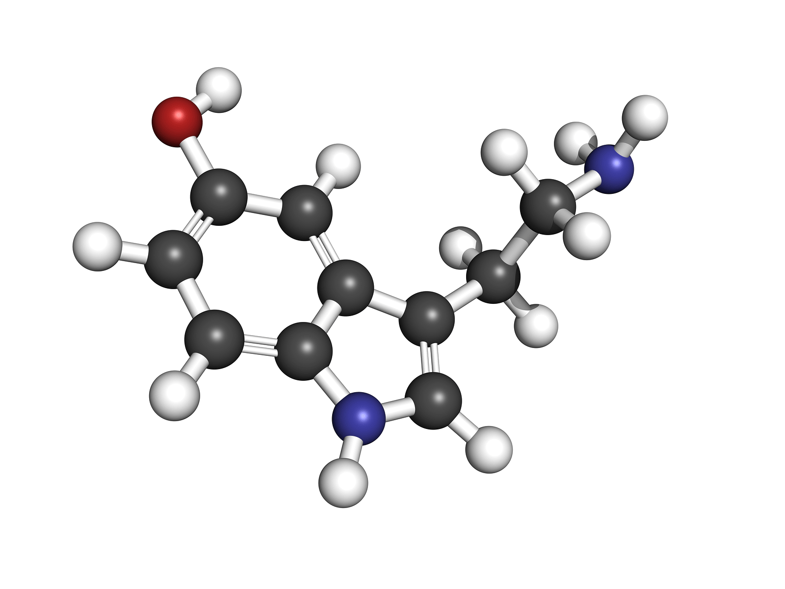 1600x1200 Serotonin. The Science of Psychotherapy