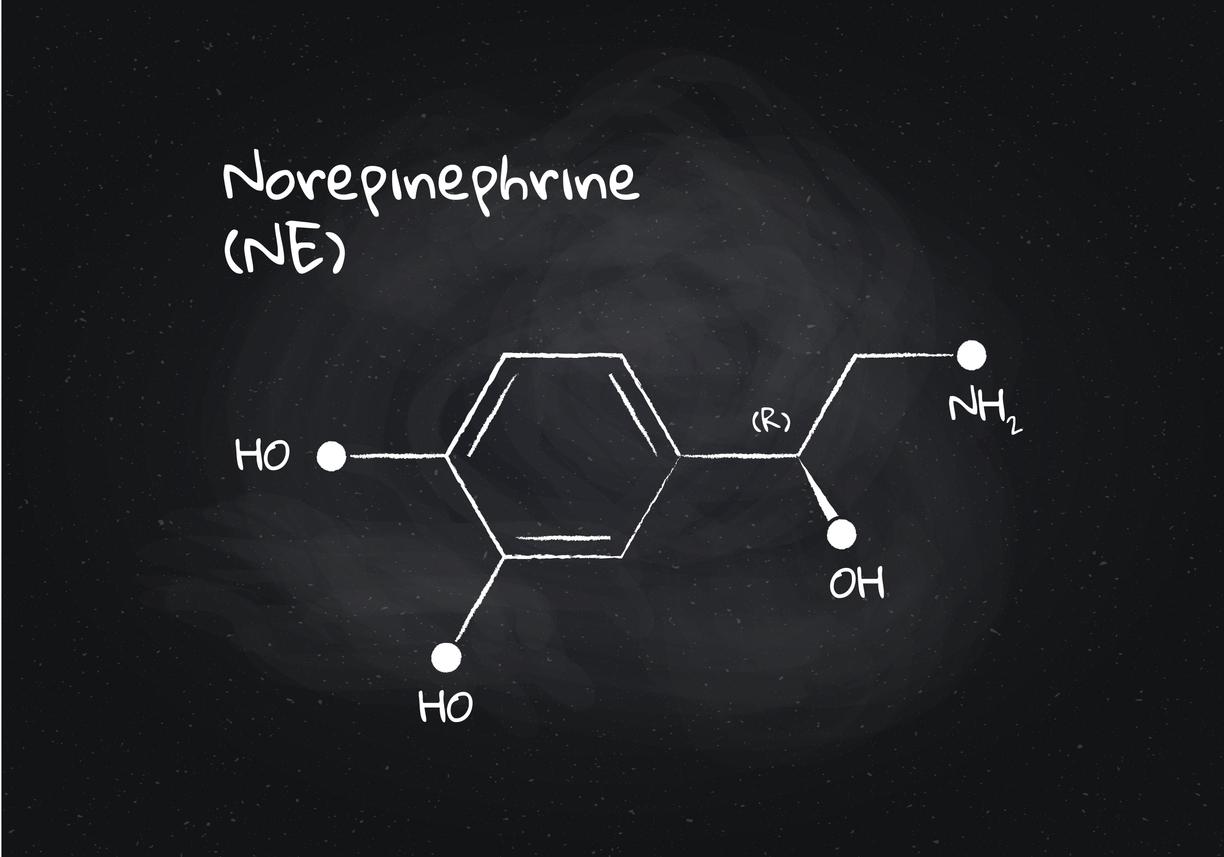 1224x857 Neurotransmitters and You: Why a Healthy Body Deserves a Healthy Mind