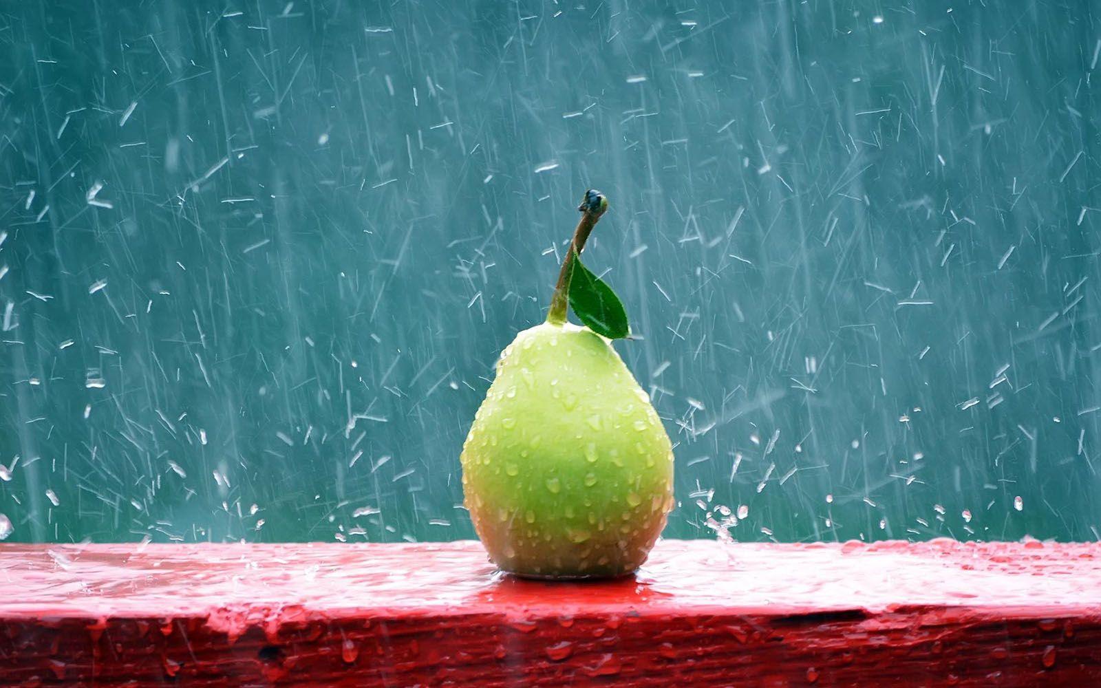 1600x1000 Pear In The Rain Wallpaper Free Download Wallpaper