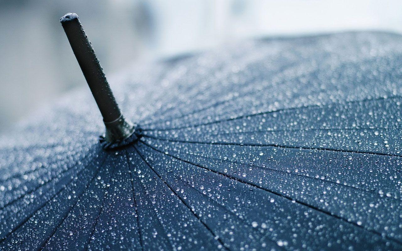 1280x800 Style: black umbrella in the rain drops photography wallpaper