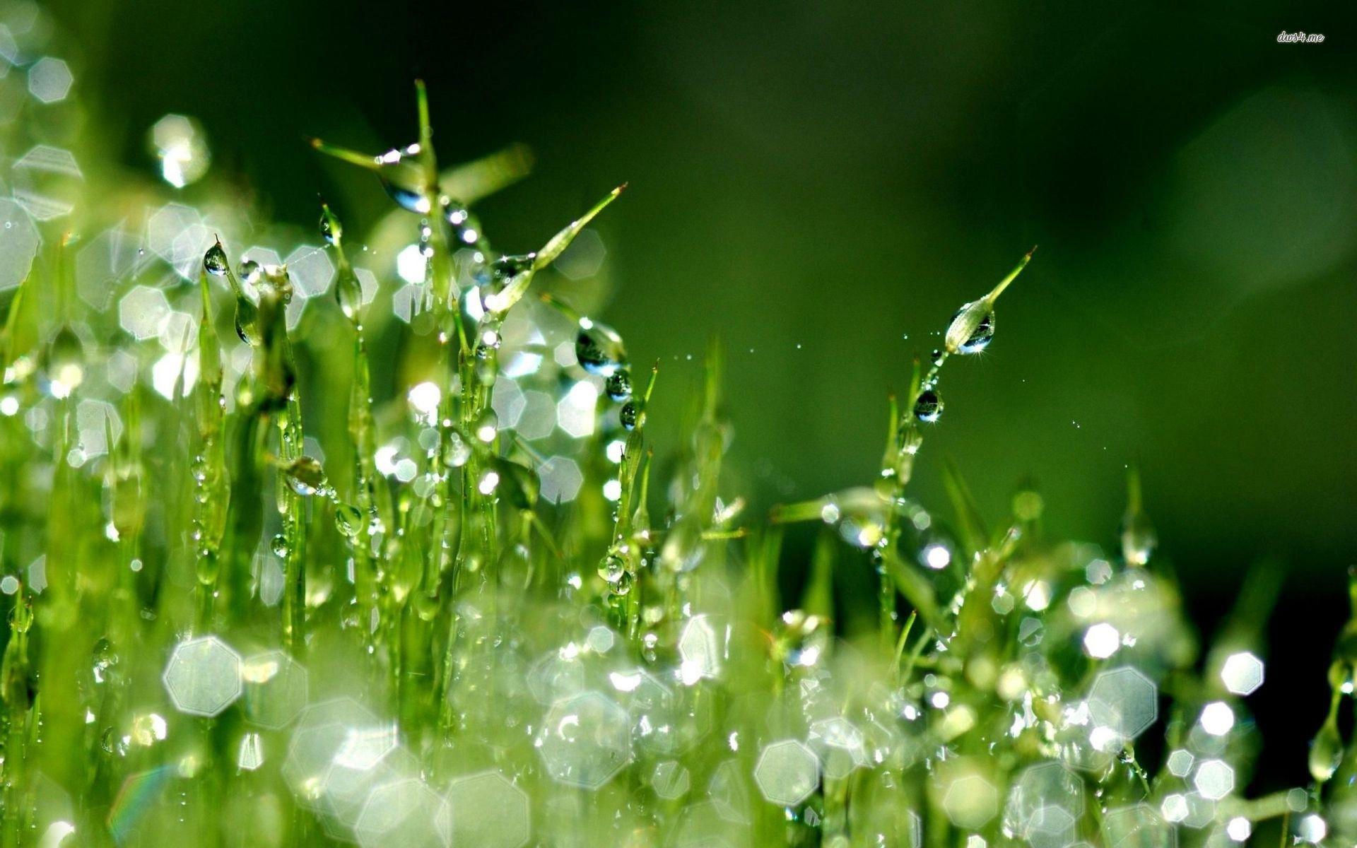 1920x1200 Raindrop Wallpaper